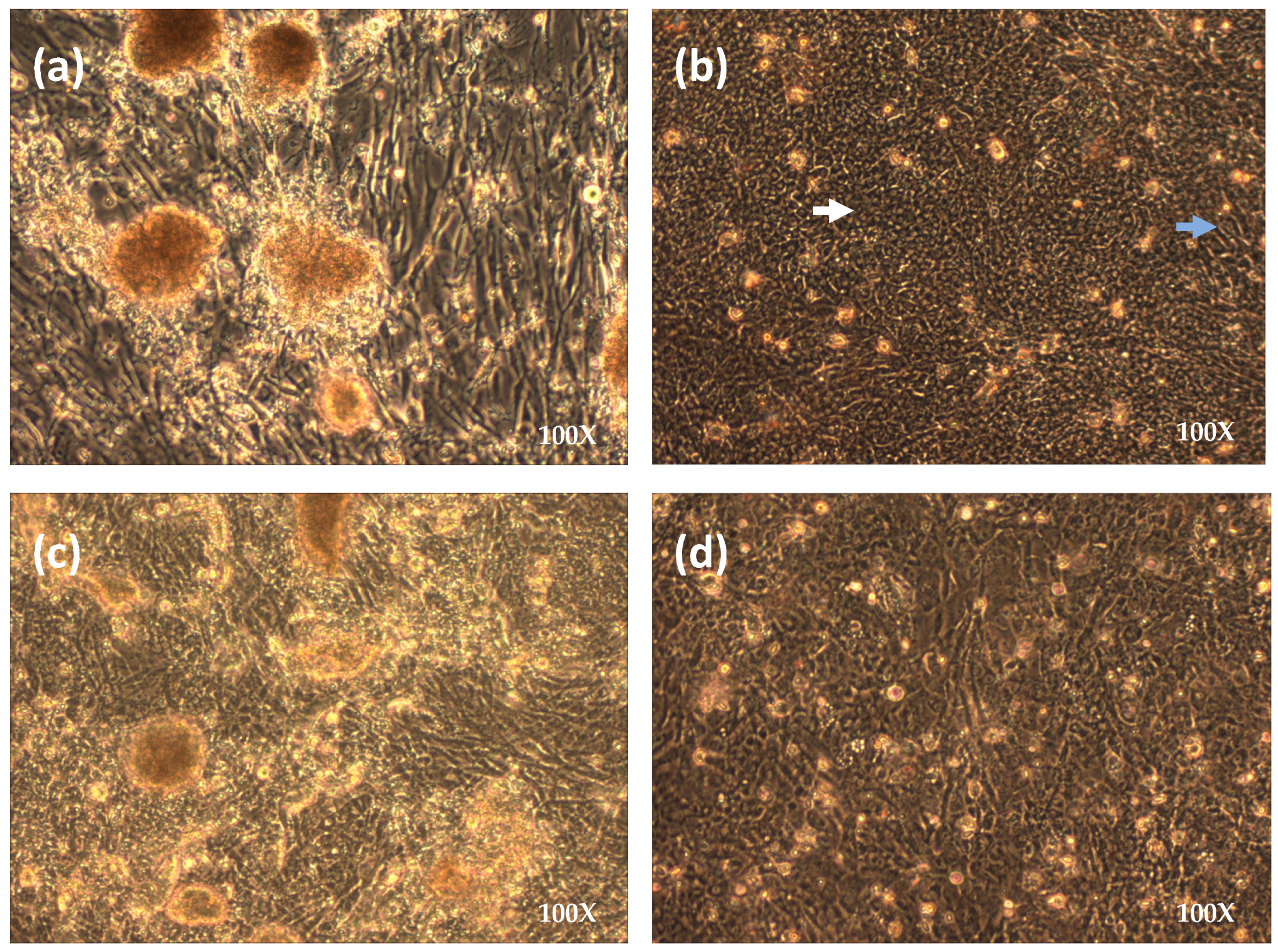 Poultry 02 00038 g001