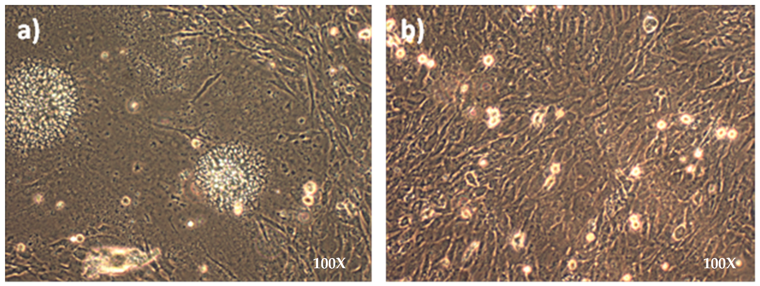 Poultry 02 00038 g002