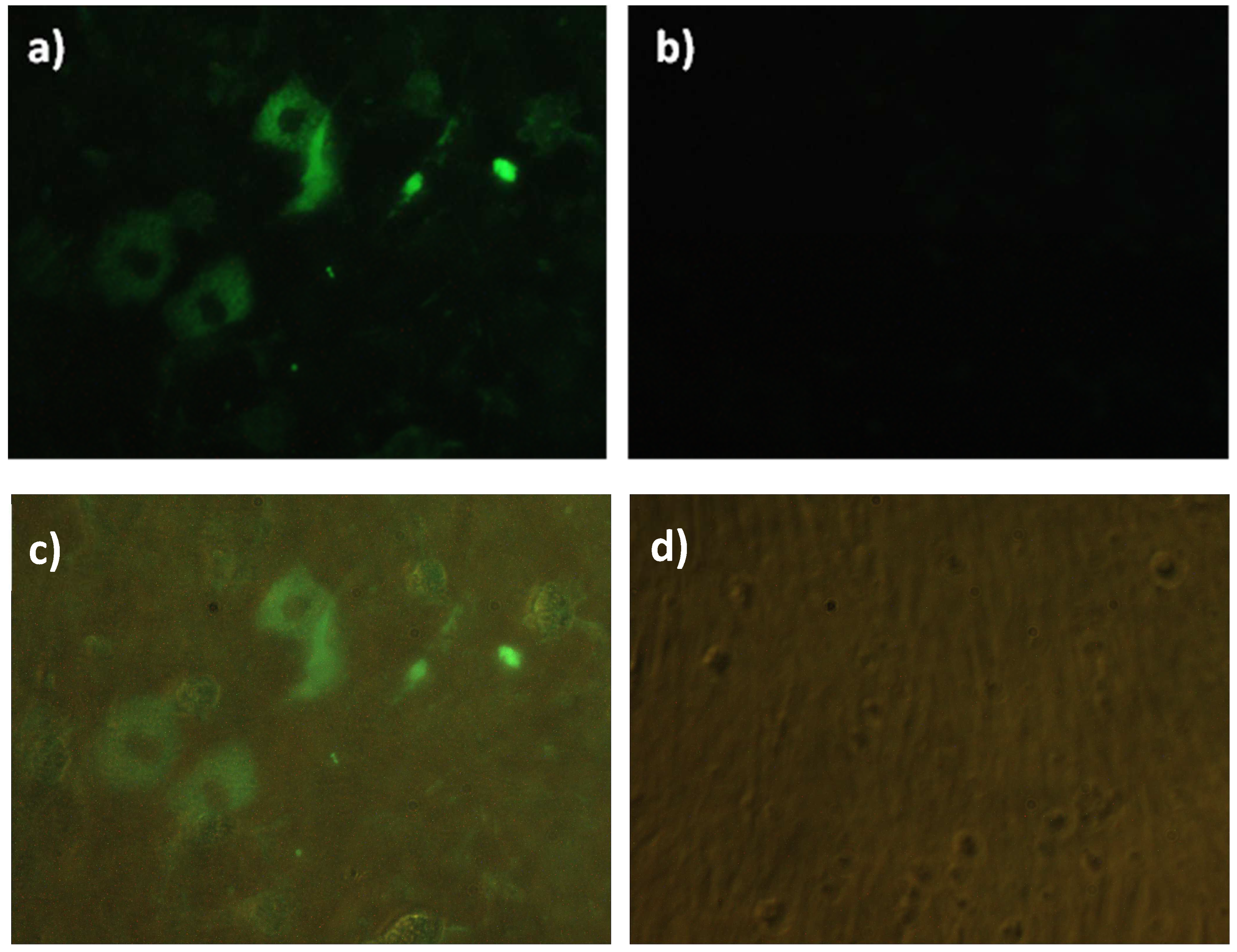 Poultry 02 00038 g004
