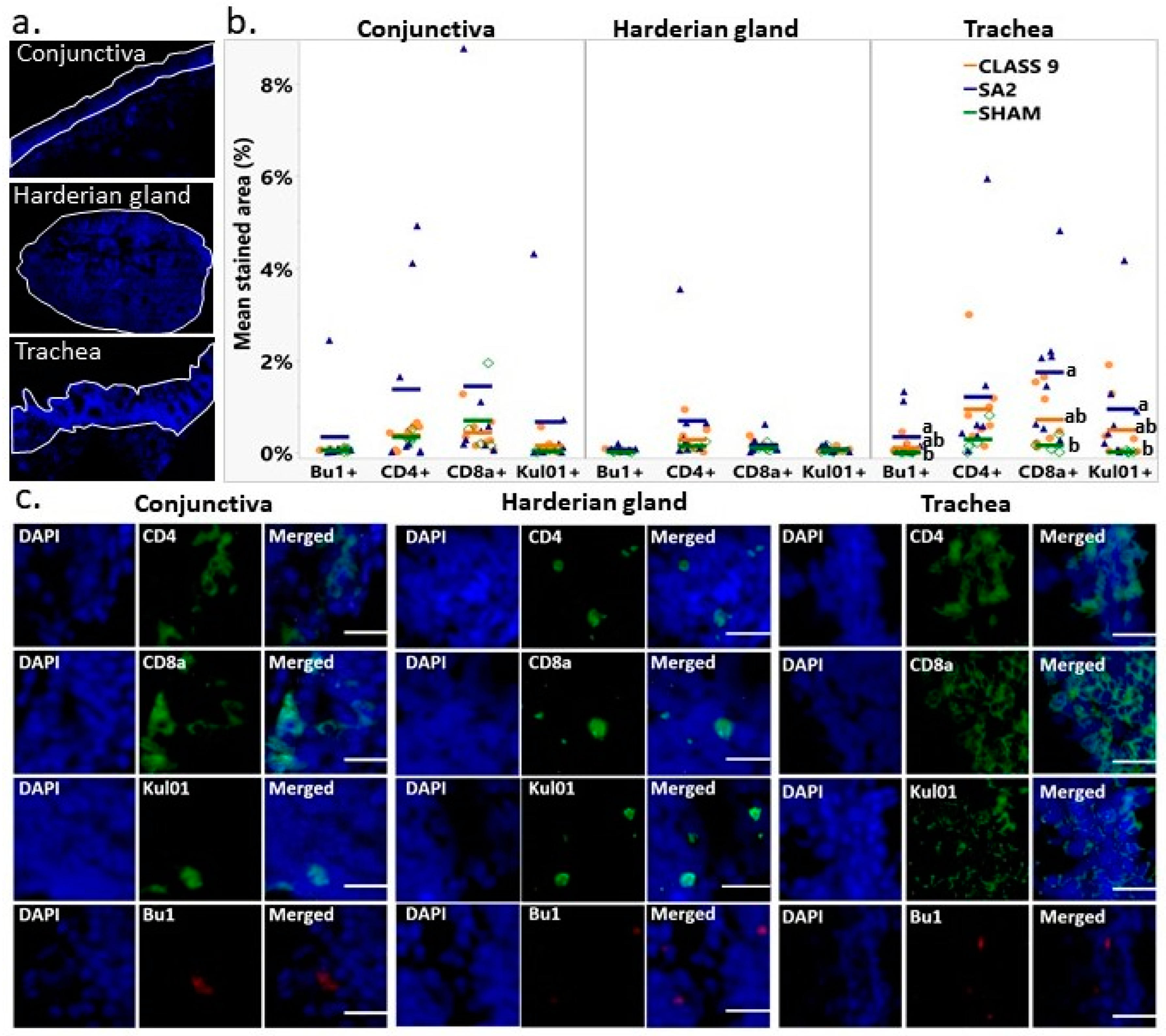 Poultry 03 00030 g002 Poultry 03 00030 g002