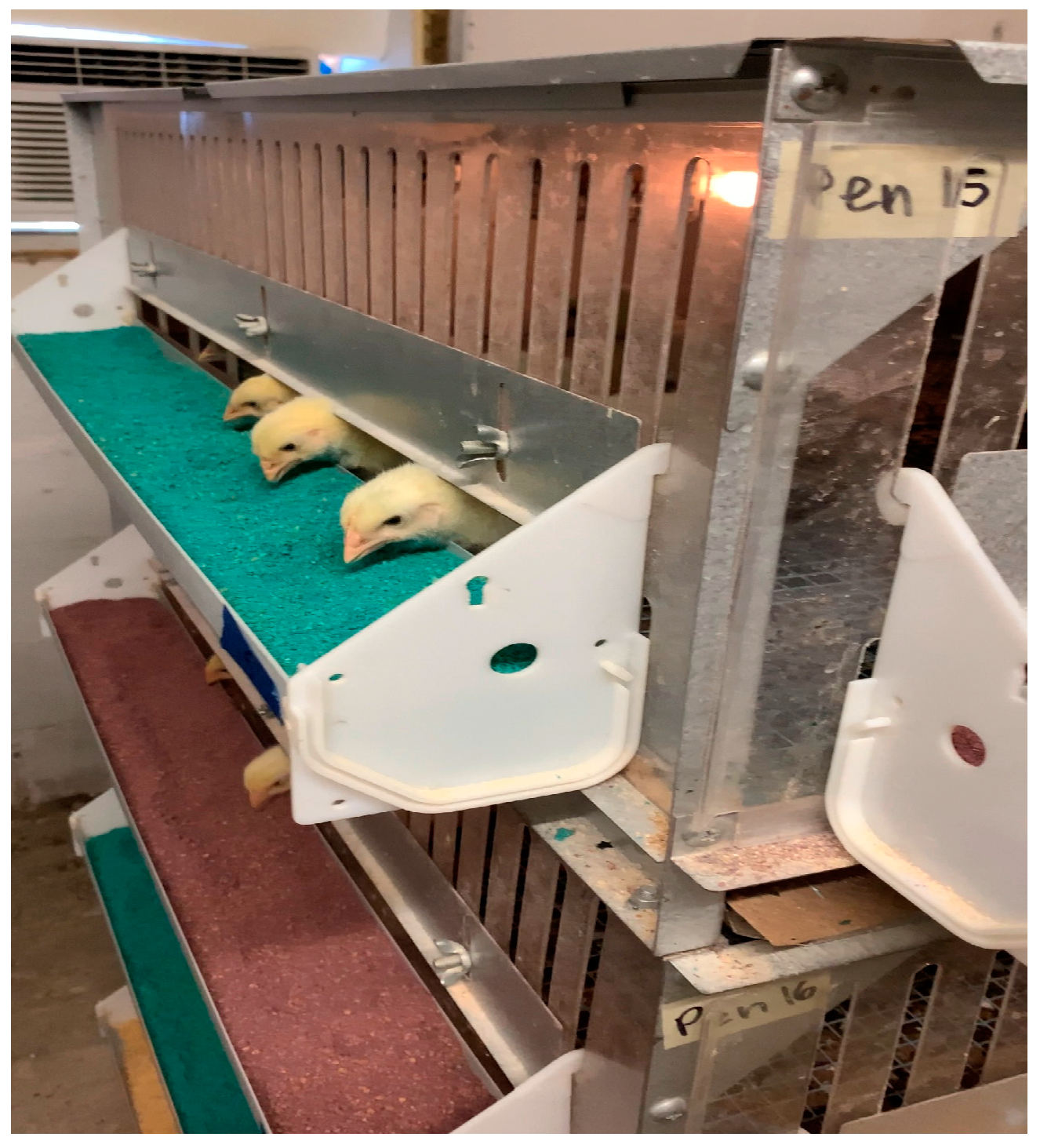 Poultry 04 00002 g001