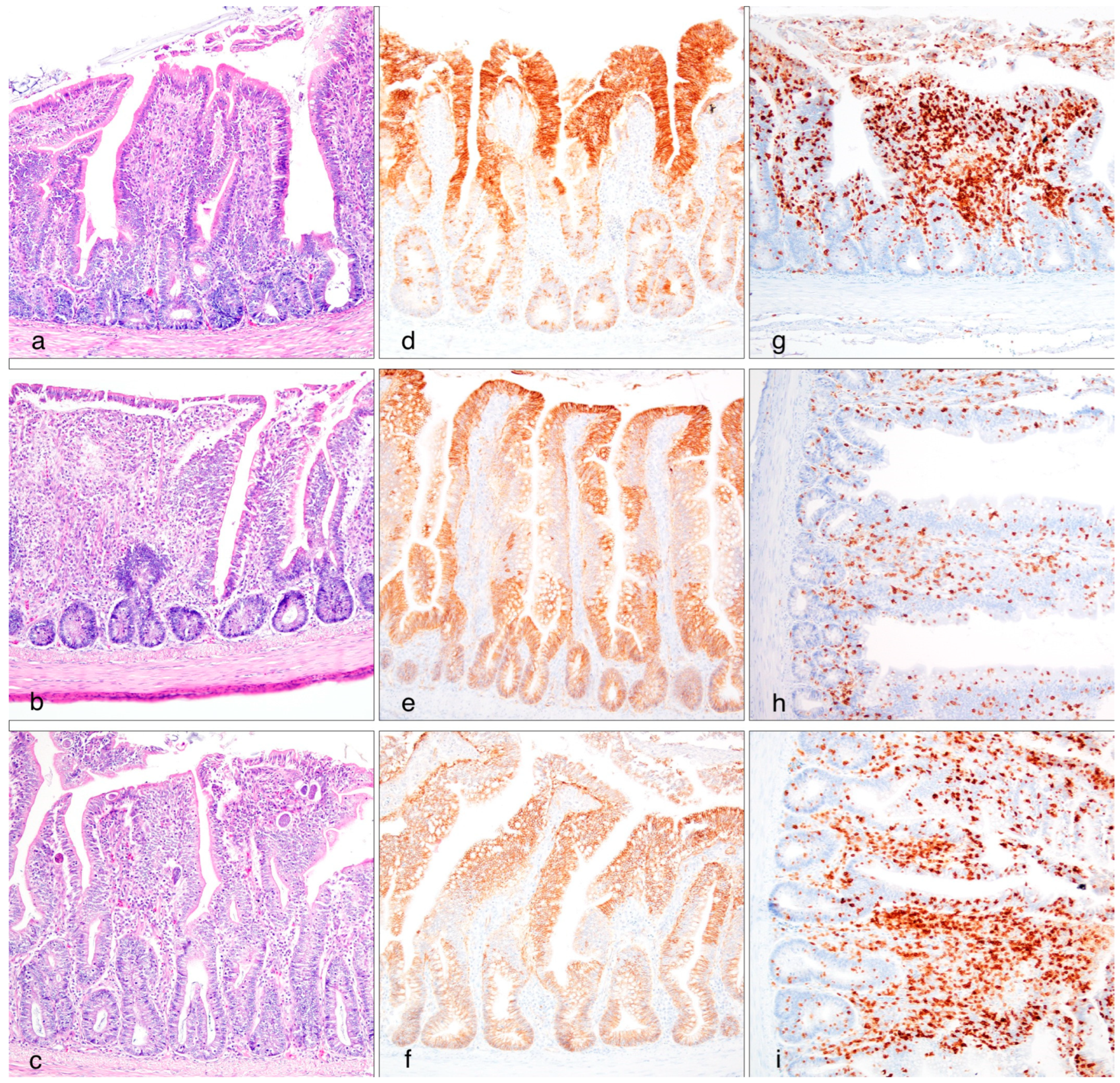 Poultry 04 00004 g001