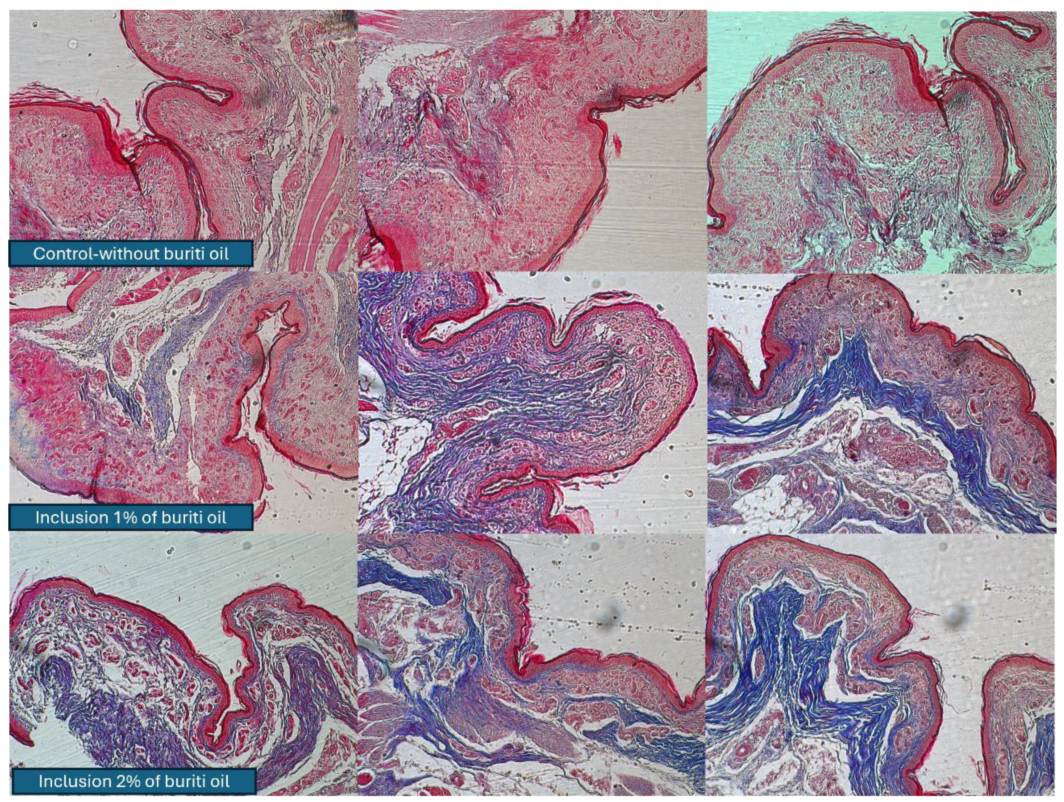 Poultry 04 00006 g001