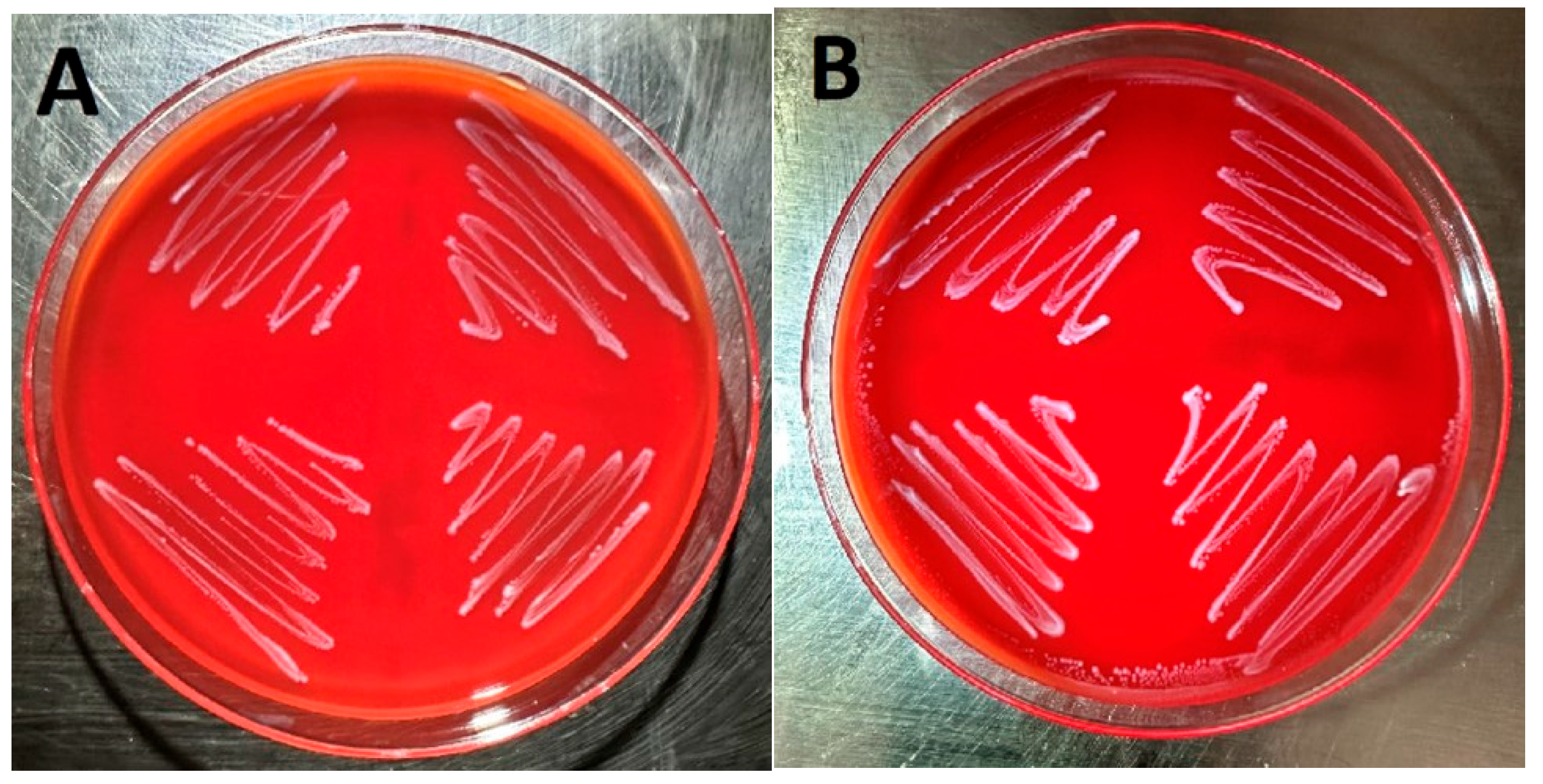 Poultry 04 00011 g001