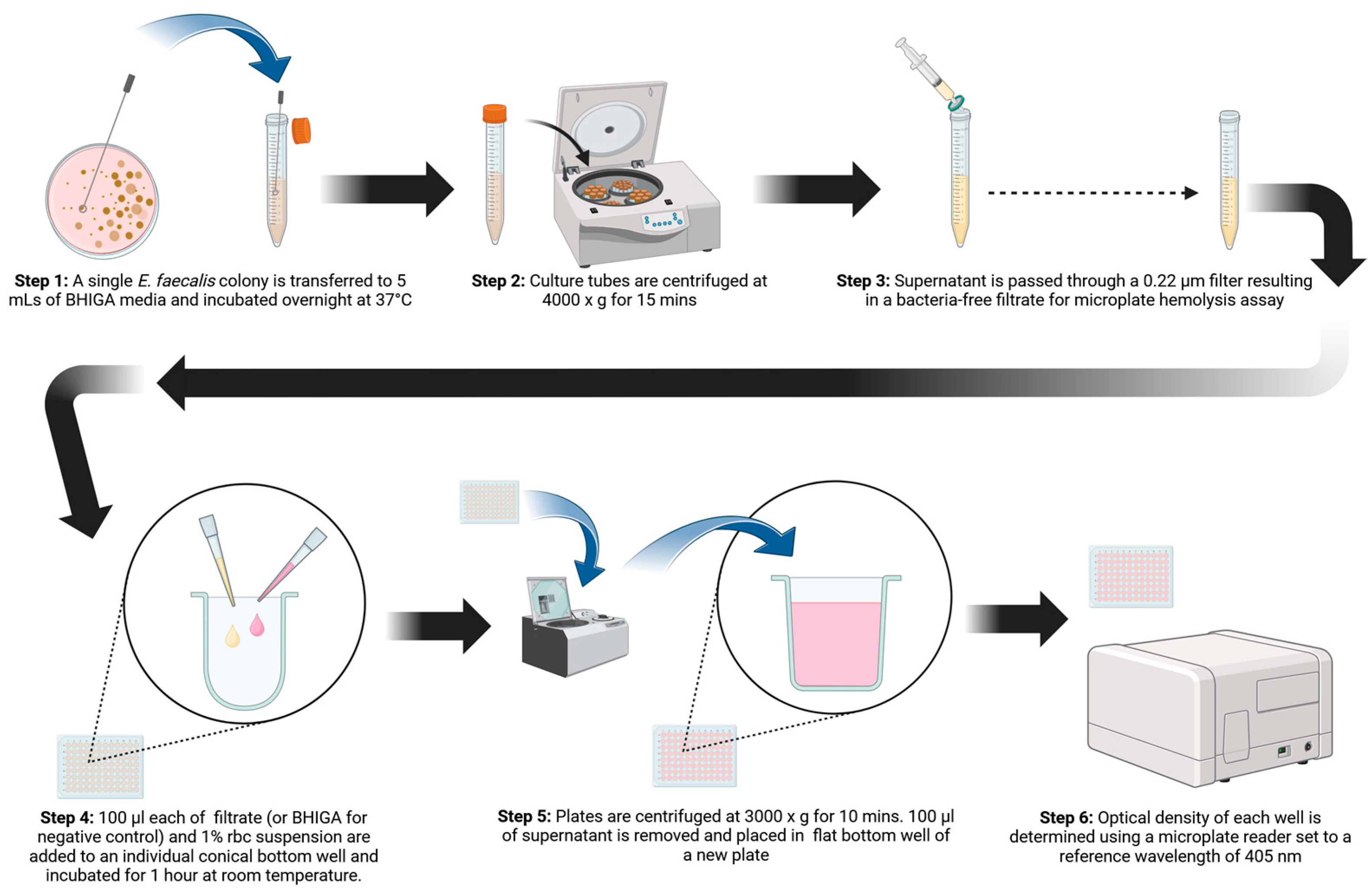 Poultry 04 00011 g005
