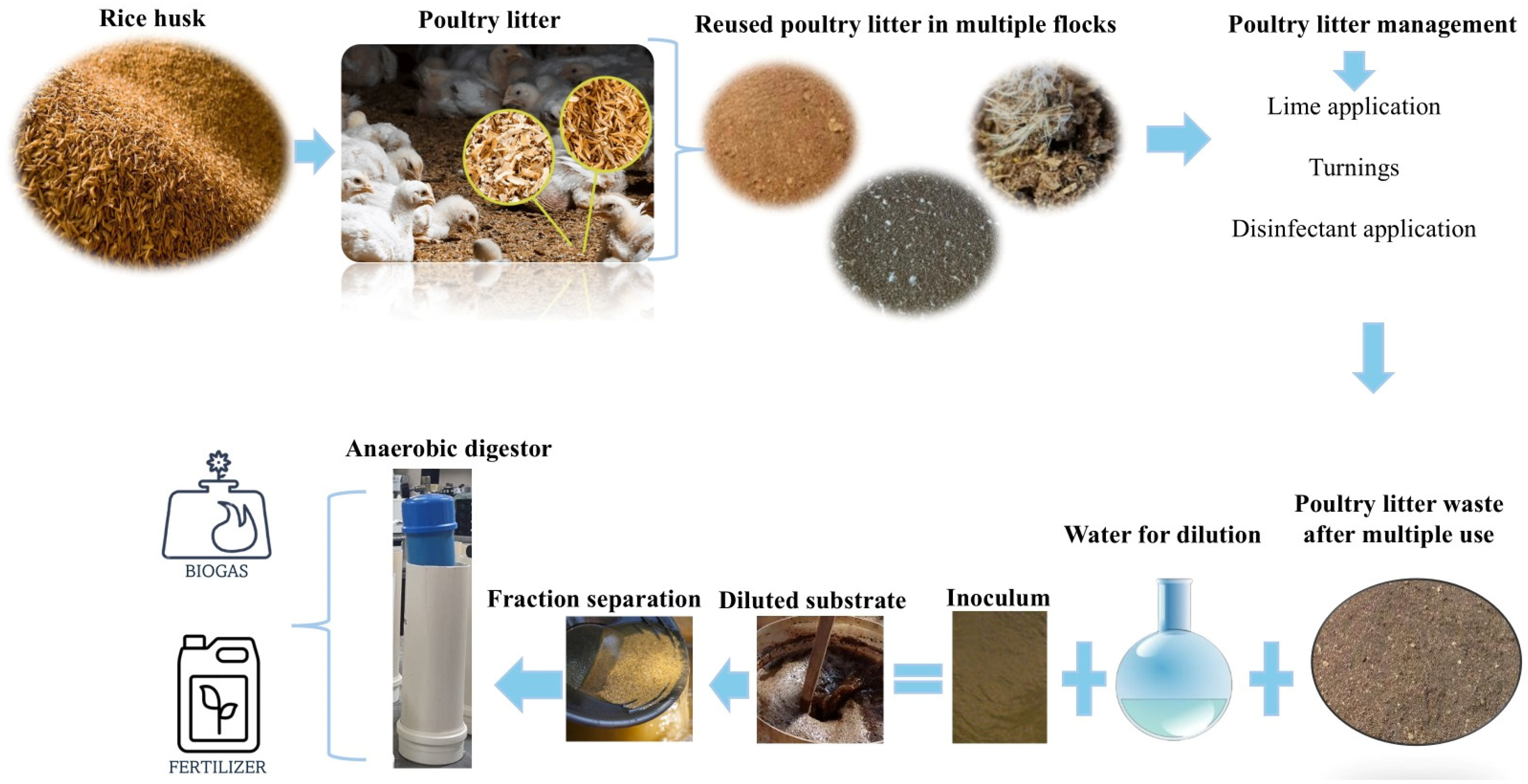 Poultry 04 00019 g002