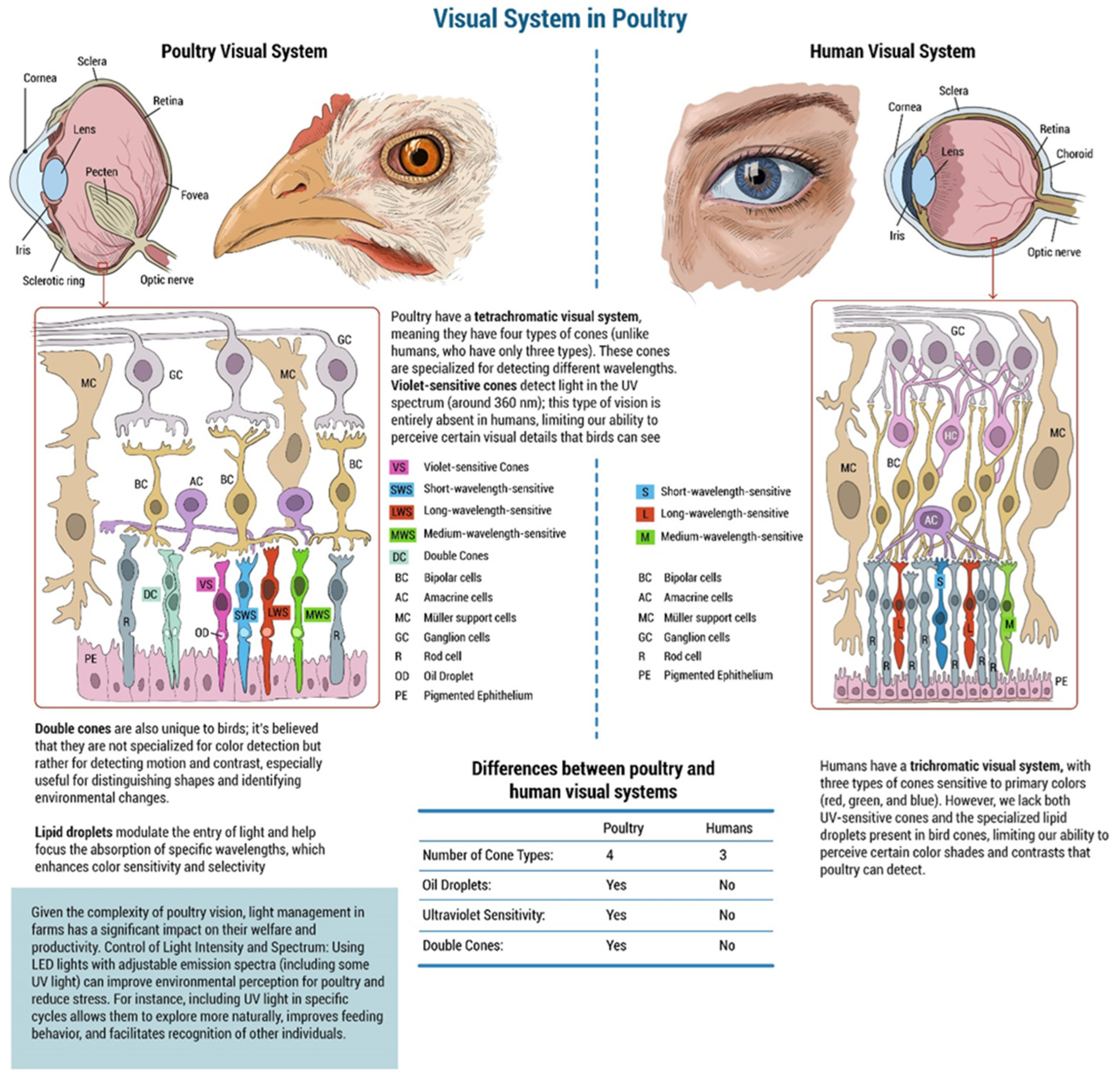 Poultry 04 00020 g001