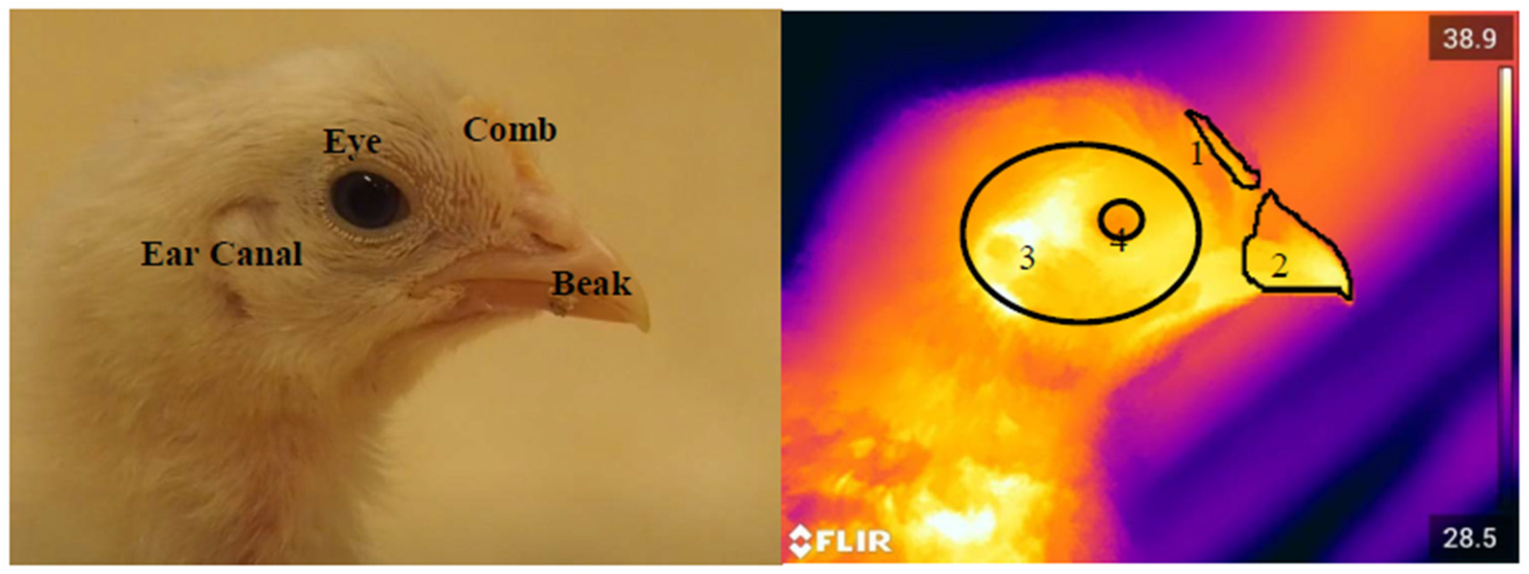 Poultry 04 00020 g003