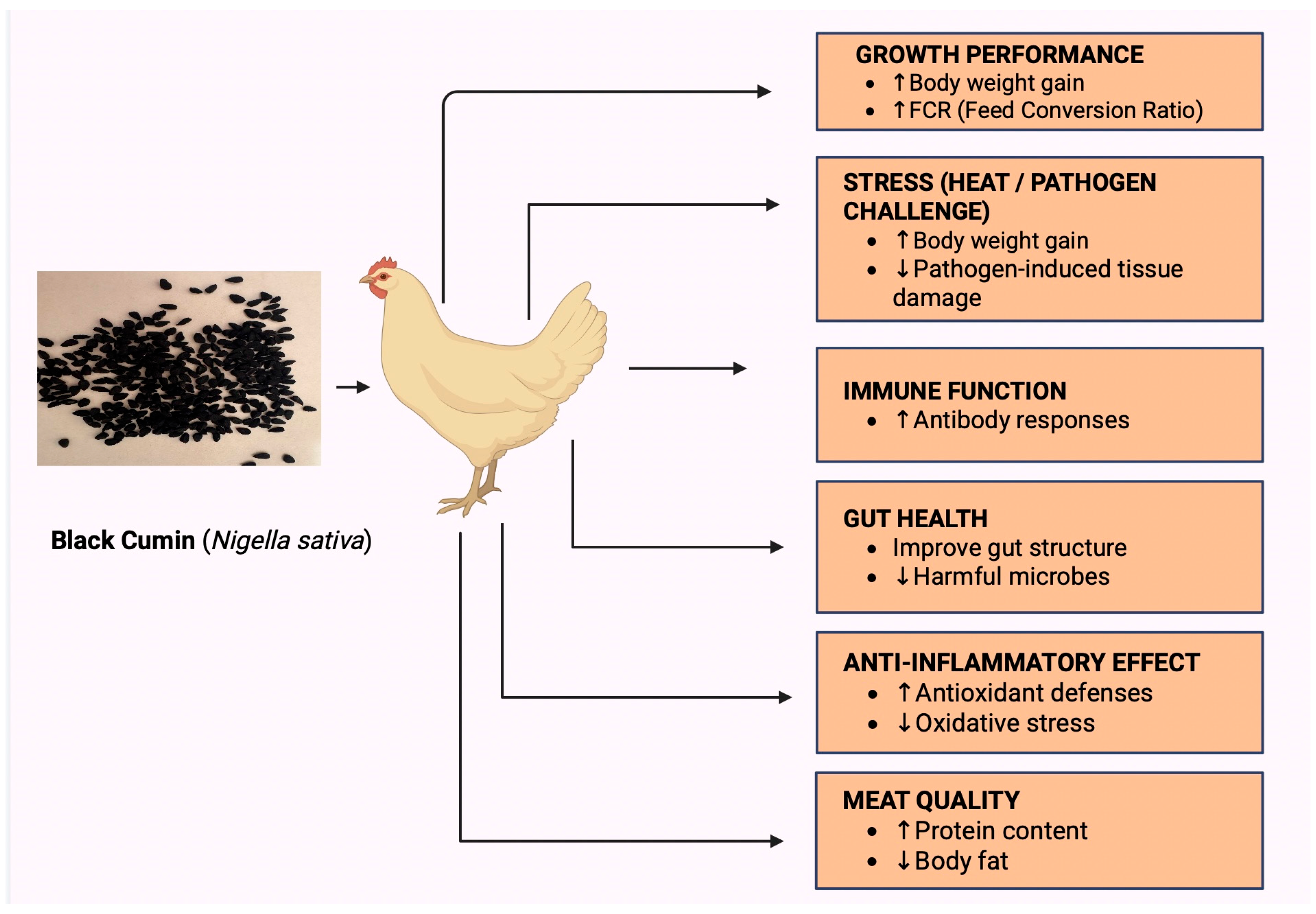 Poultry 04 00049 g001