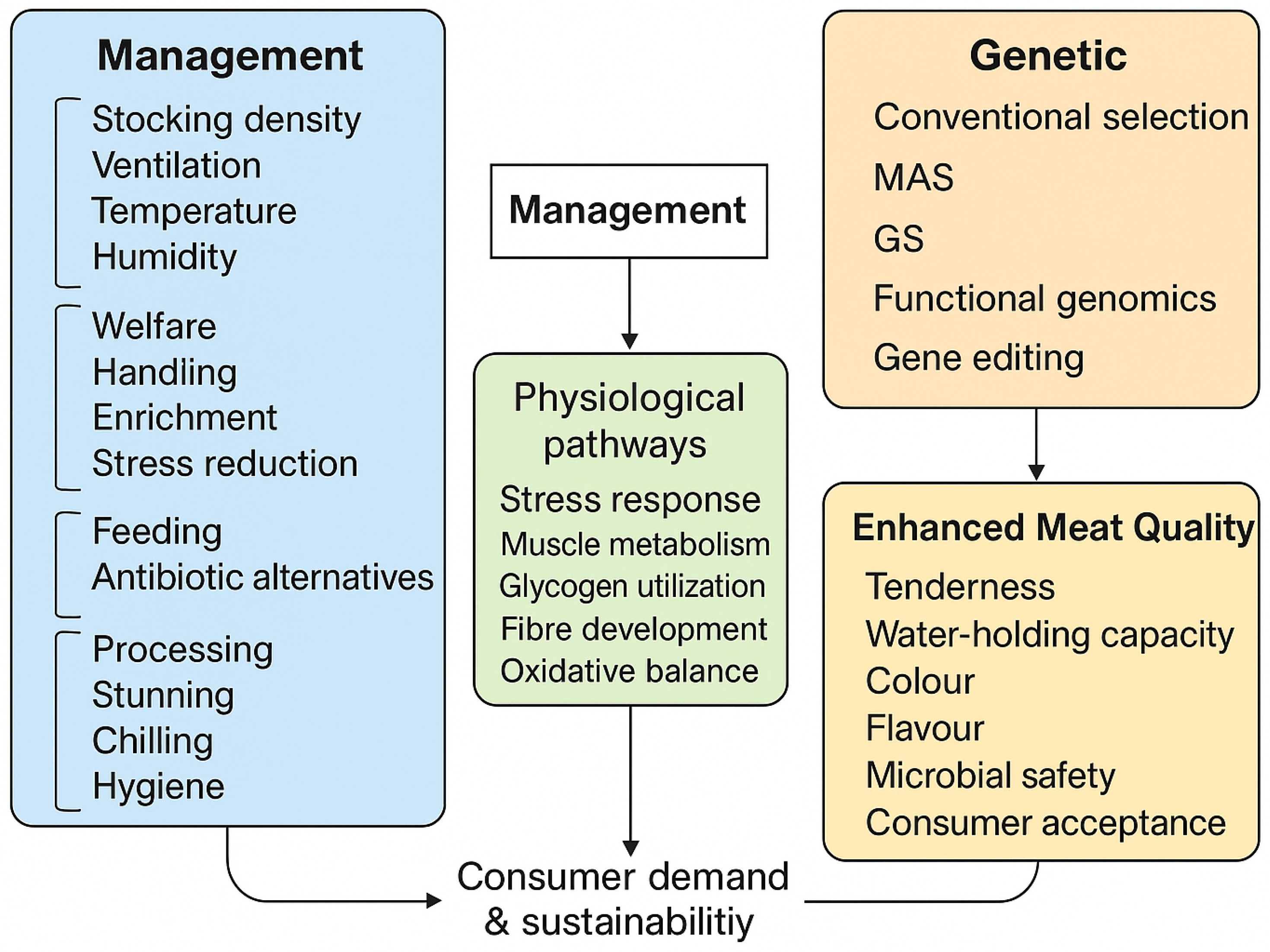 Poultry 05 00004 g001 Poultry 05 00004 g001