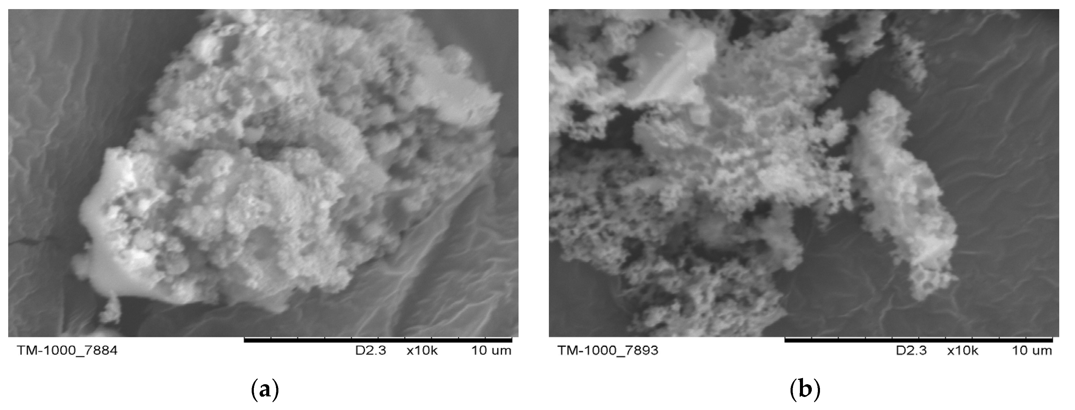 Powders 01 00003 g007