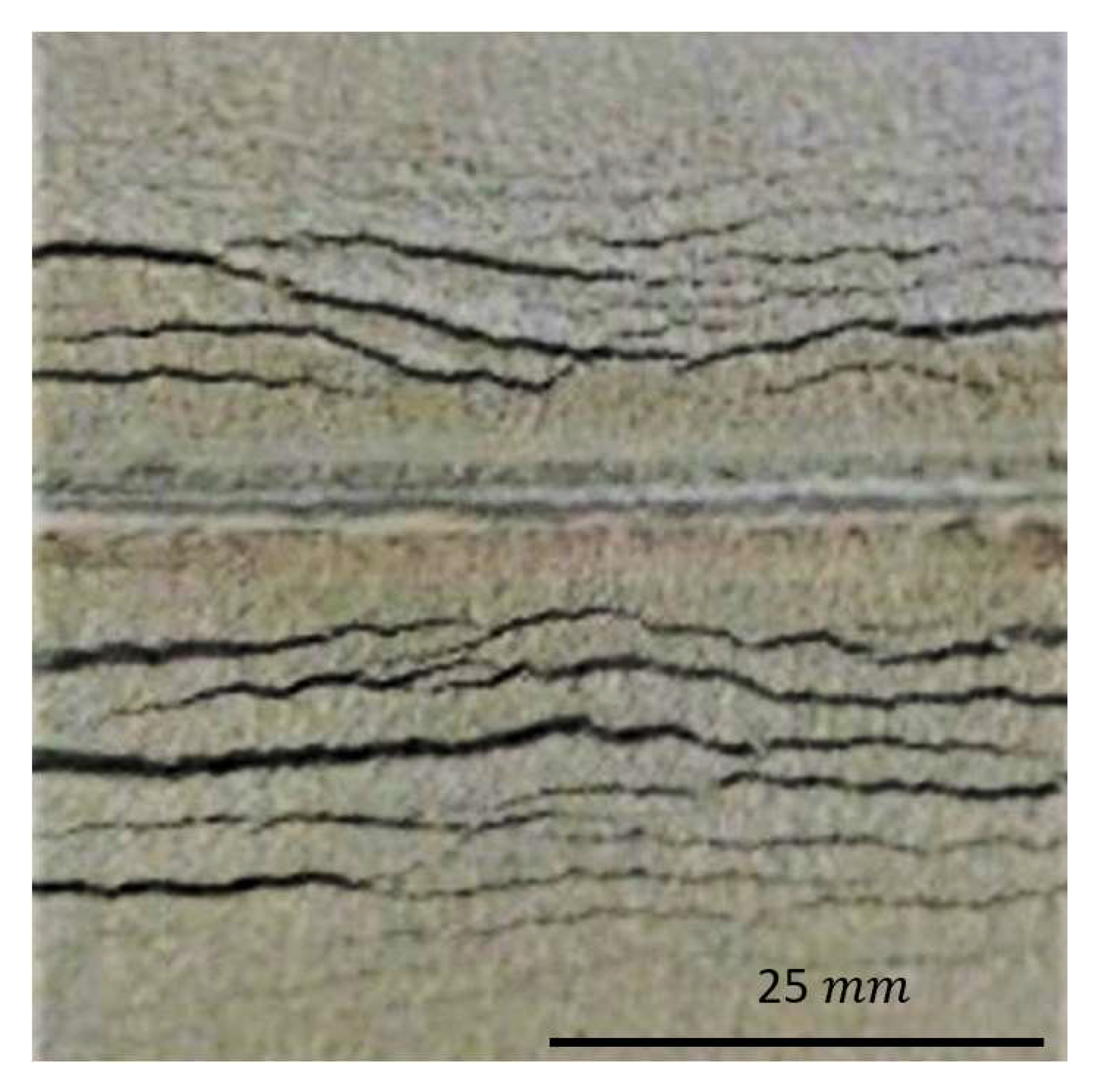 Powders 01 00006 g009 Powders 01 00006 g009