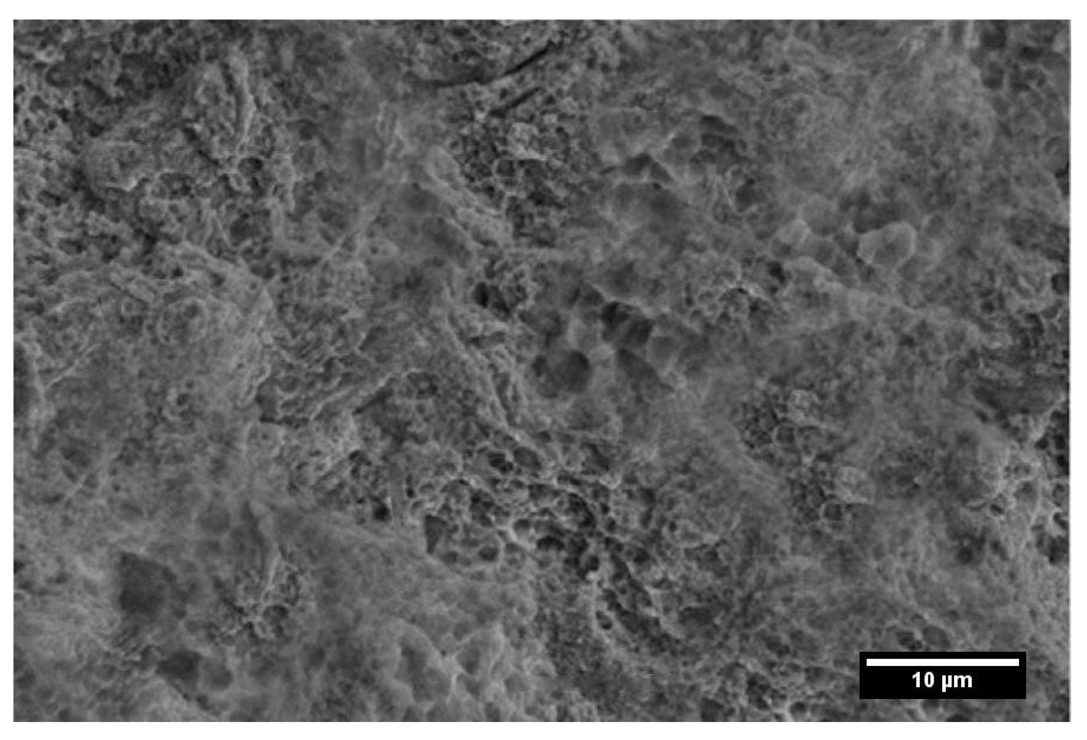 Powders 01 00006 g010a Powders 01 00006 g010a