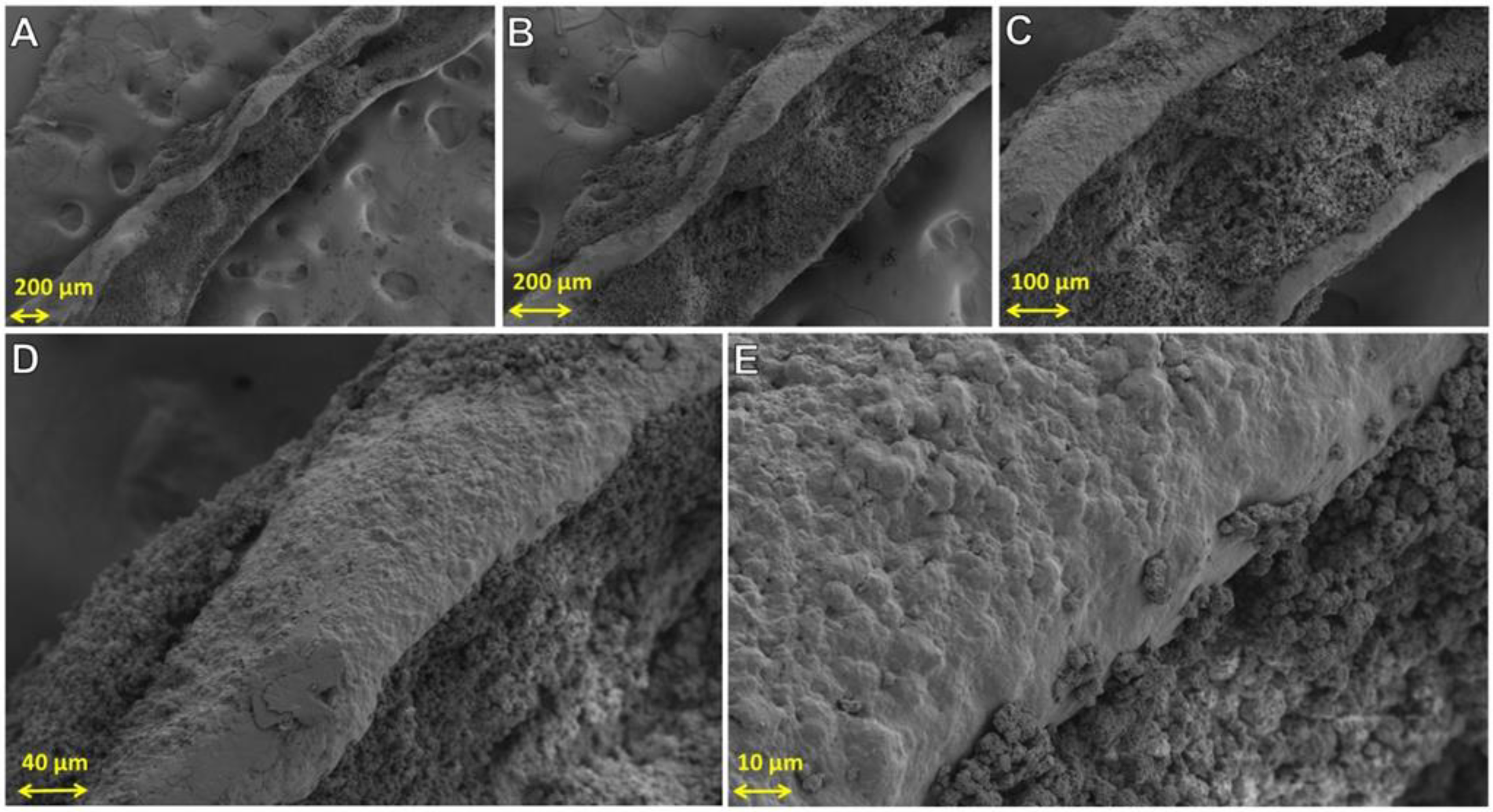 Powders 01 00009 g012 550