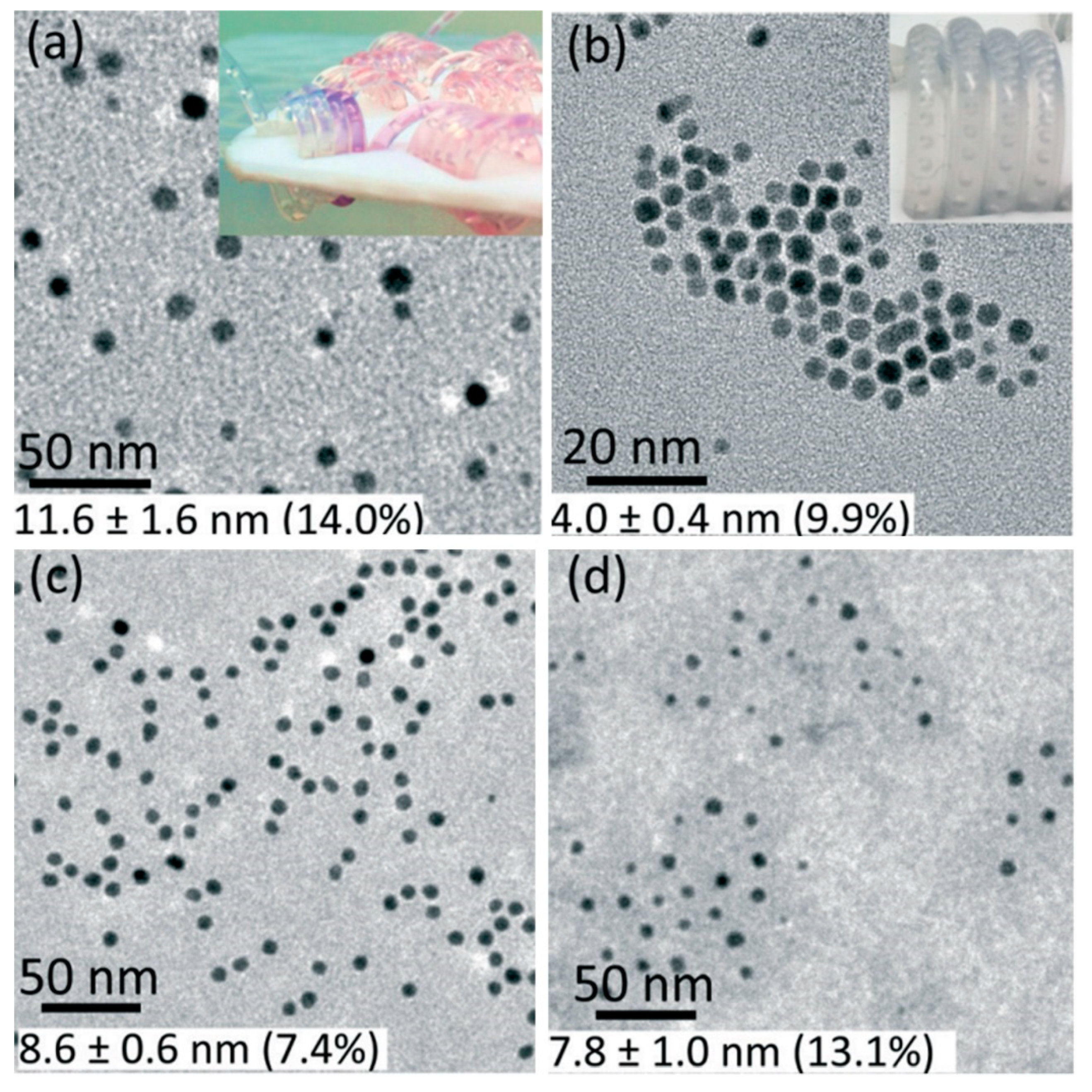 Powders 01 00011 g004