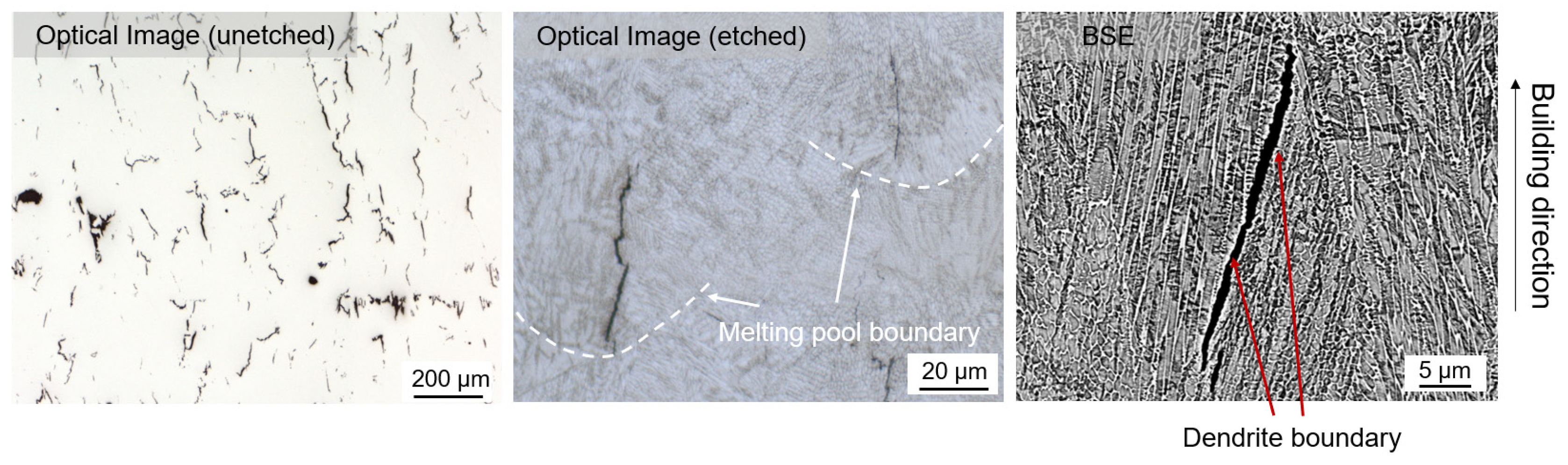 Powders 01 00012 g007