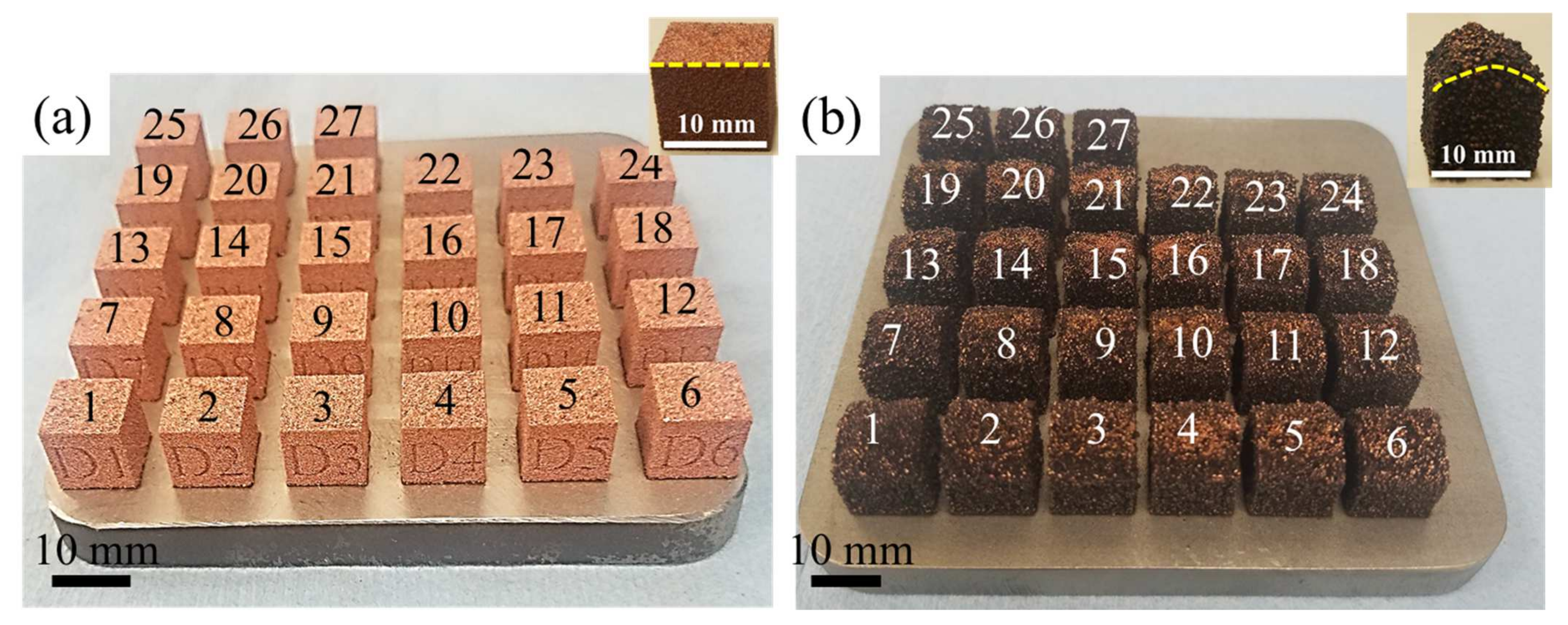 Powders 01 00014 g003