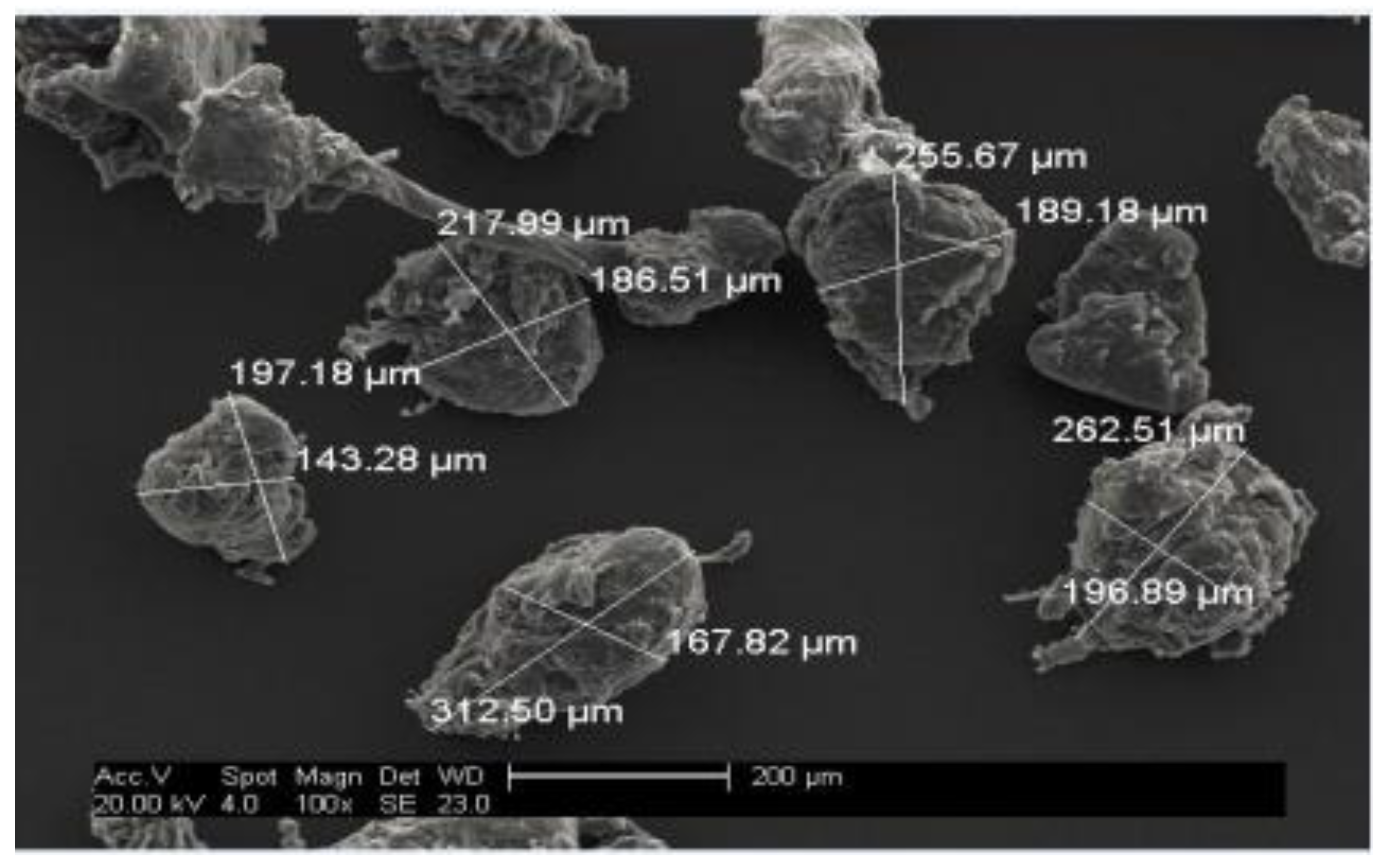 Powders 01 00019 g009 Powders 01 00019 g009