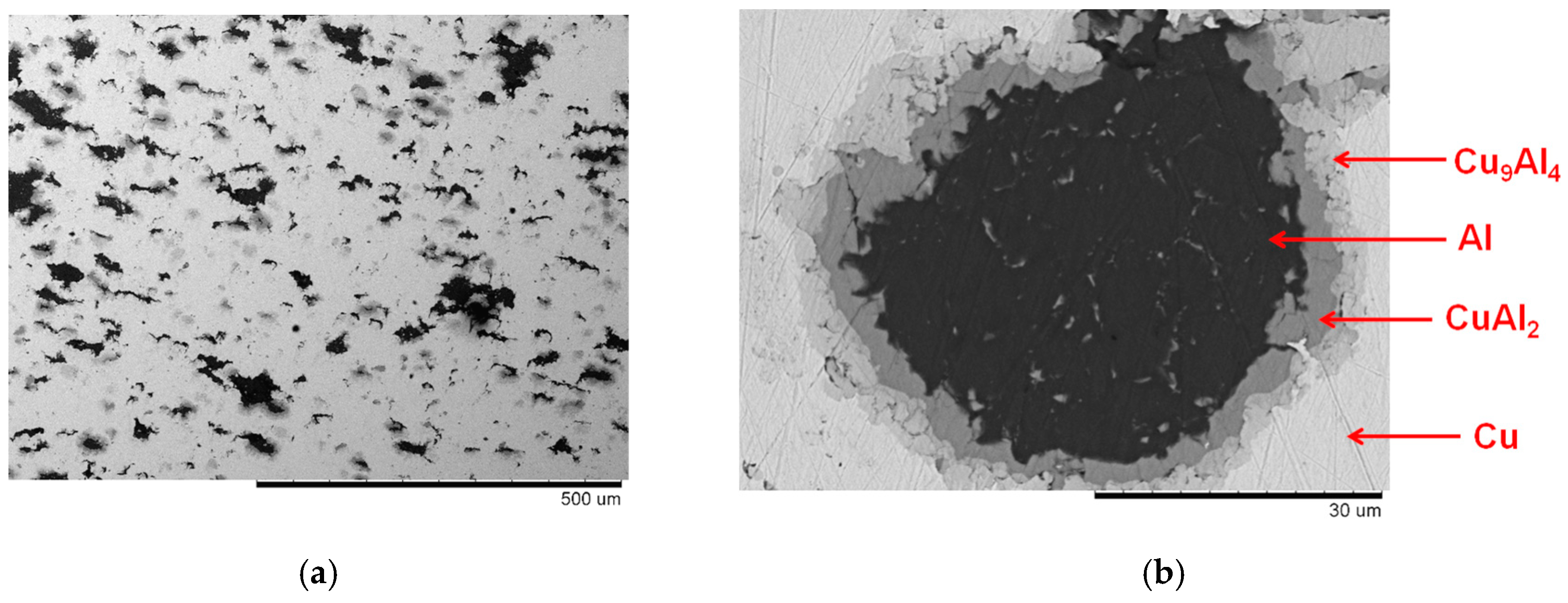Powders 02 00032 g003a Powders 02 00032 g003a