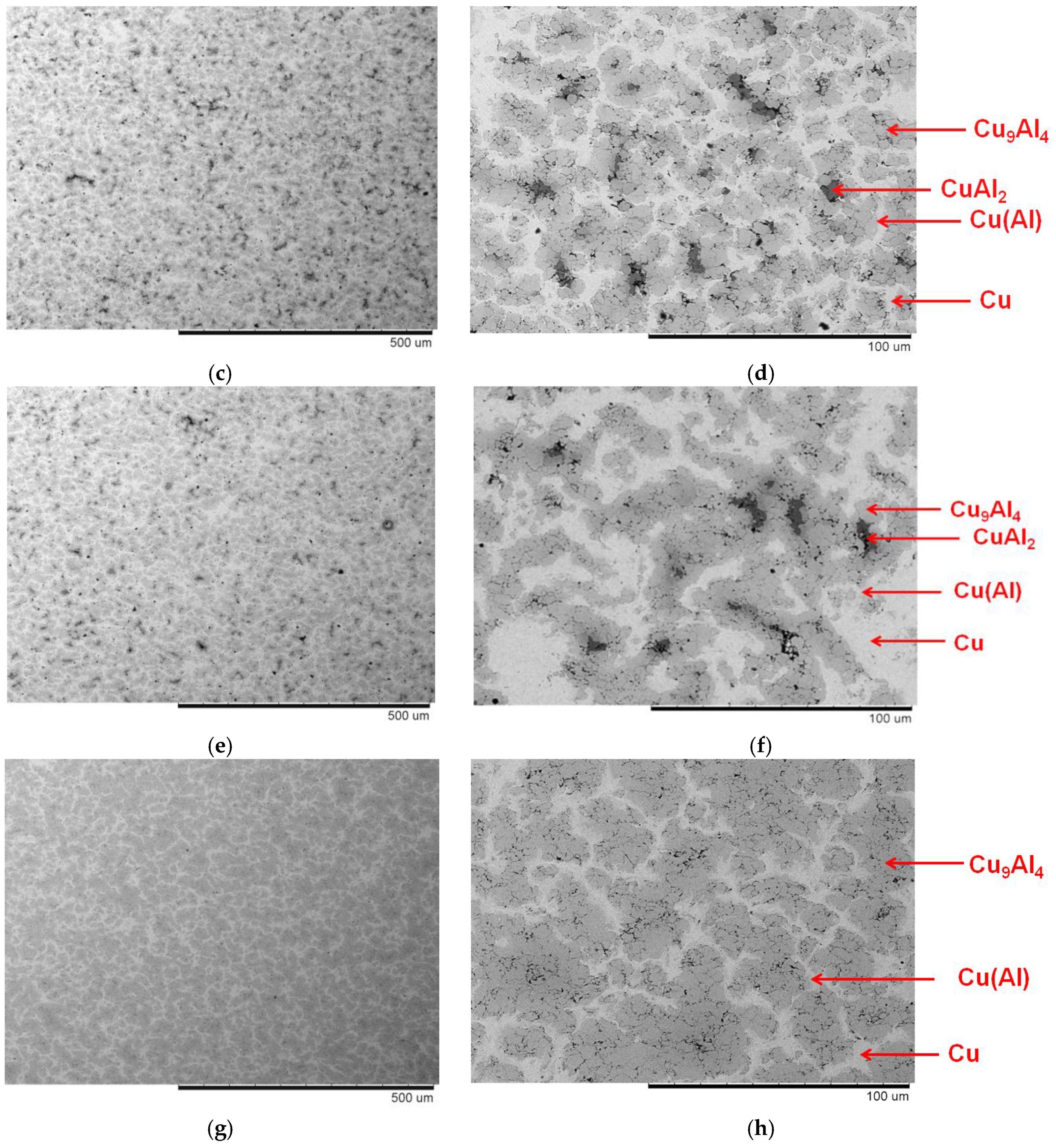Powders 02 00032 g003b Powders 02 00032 g003b