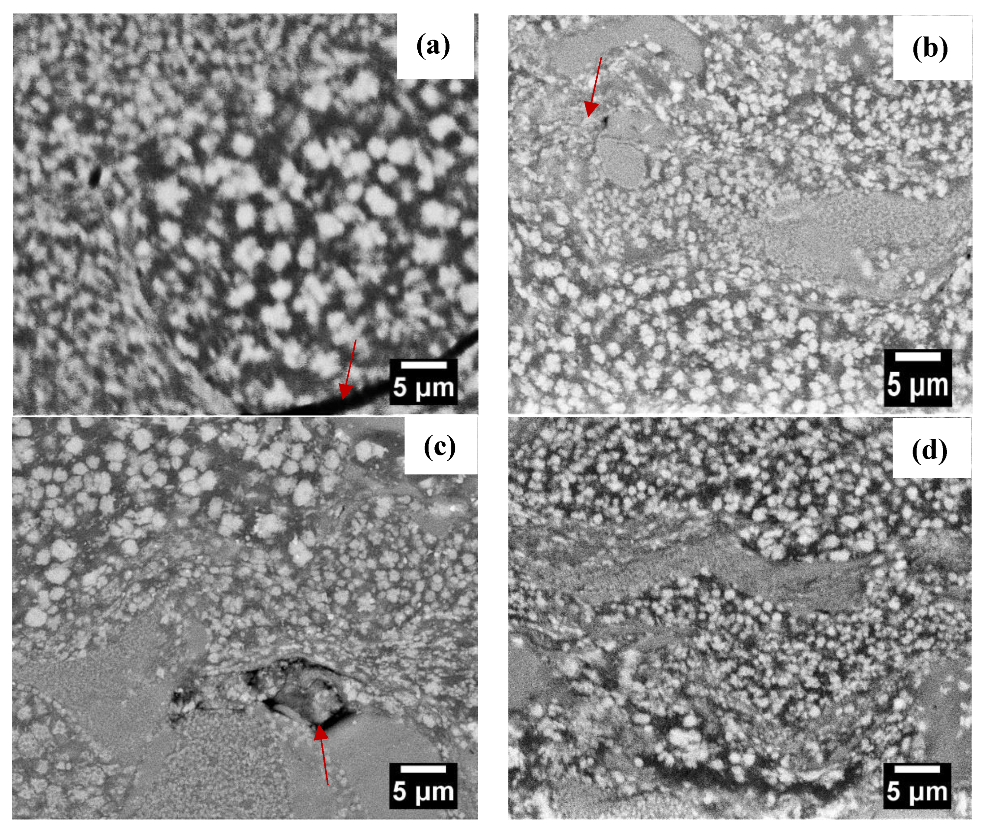 Powders 02 00033 g005