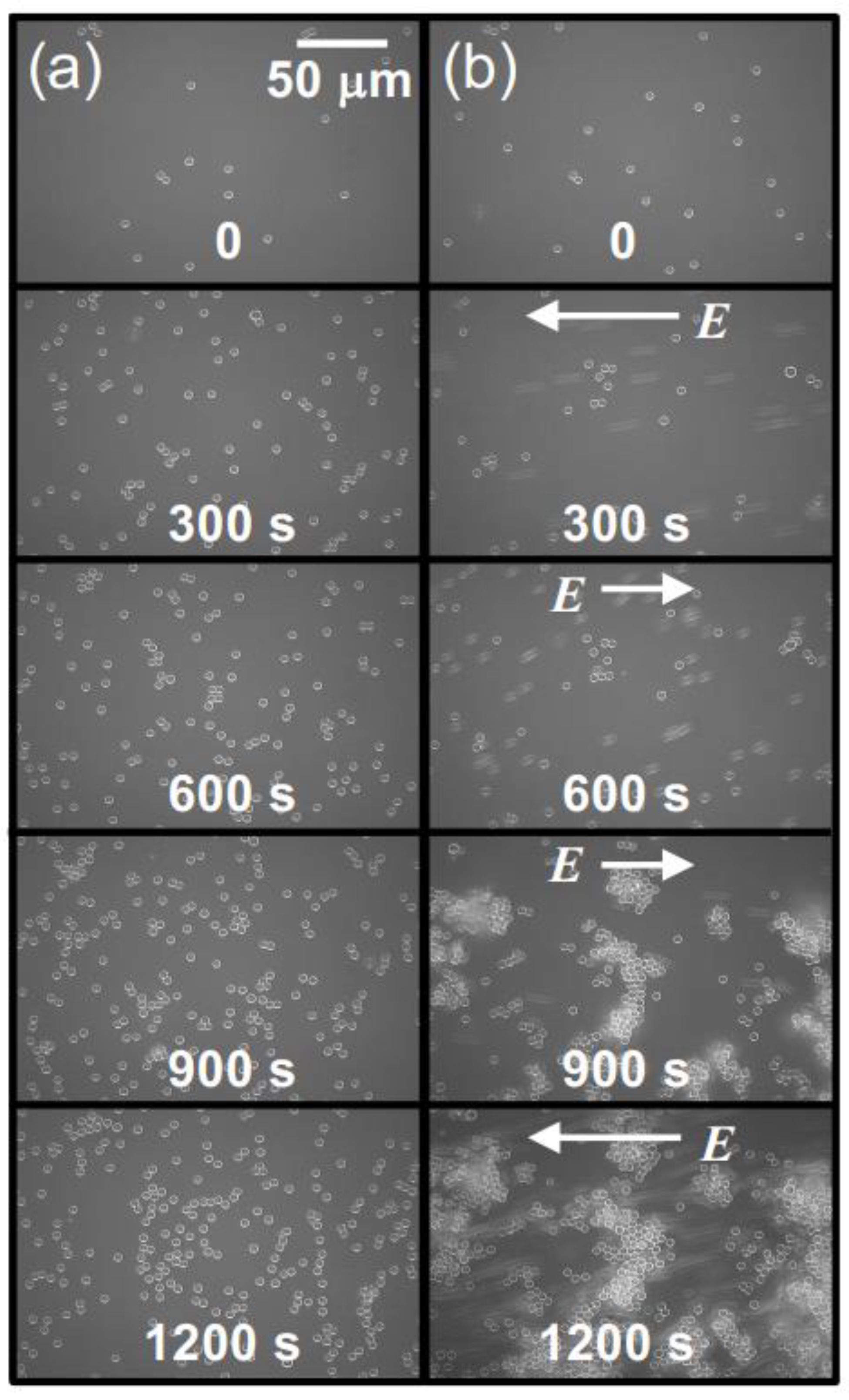 Powders 02 00046 g008