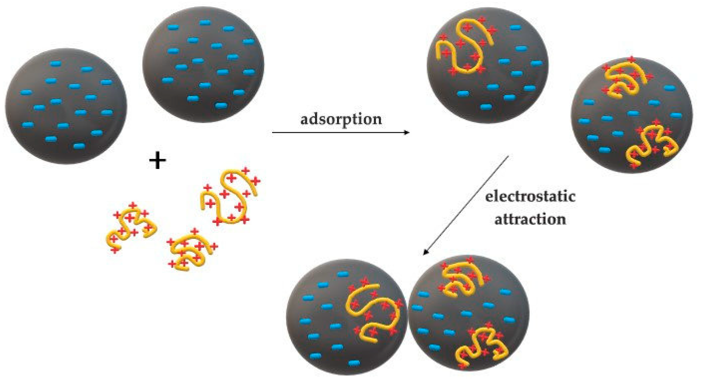 Powders 03 00007 g002