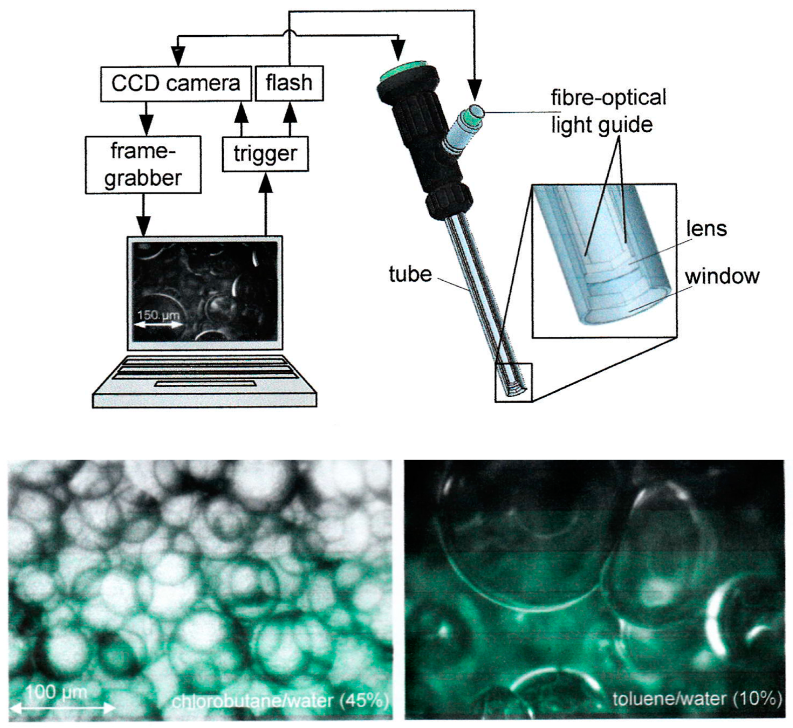 Powders 03 00007 g004