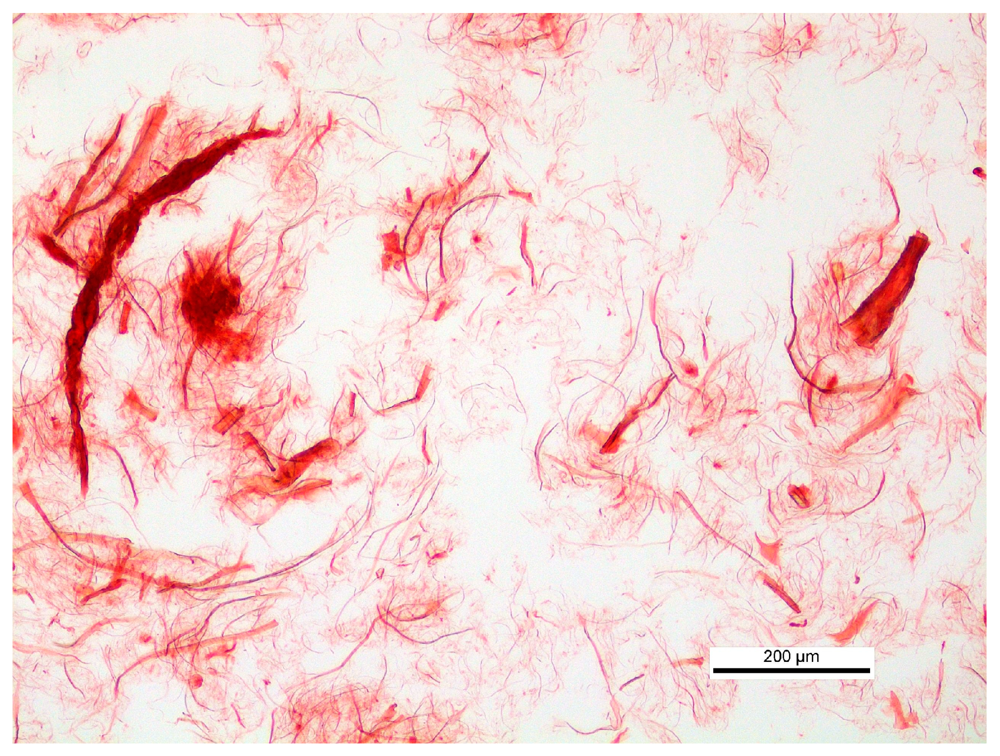 Powders 03 00007 g008