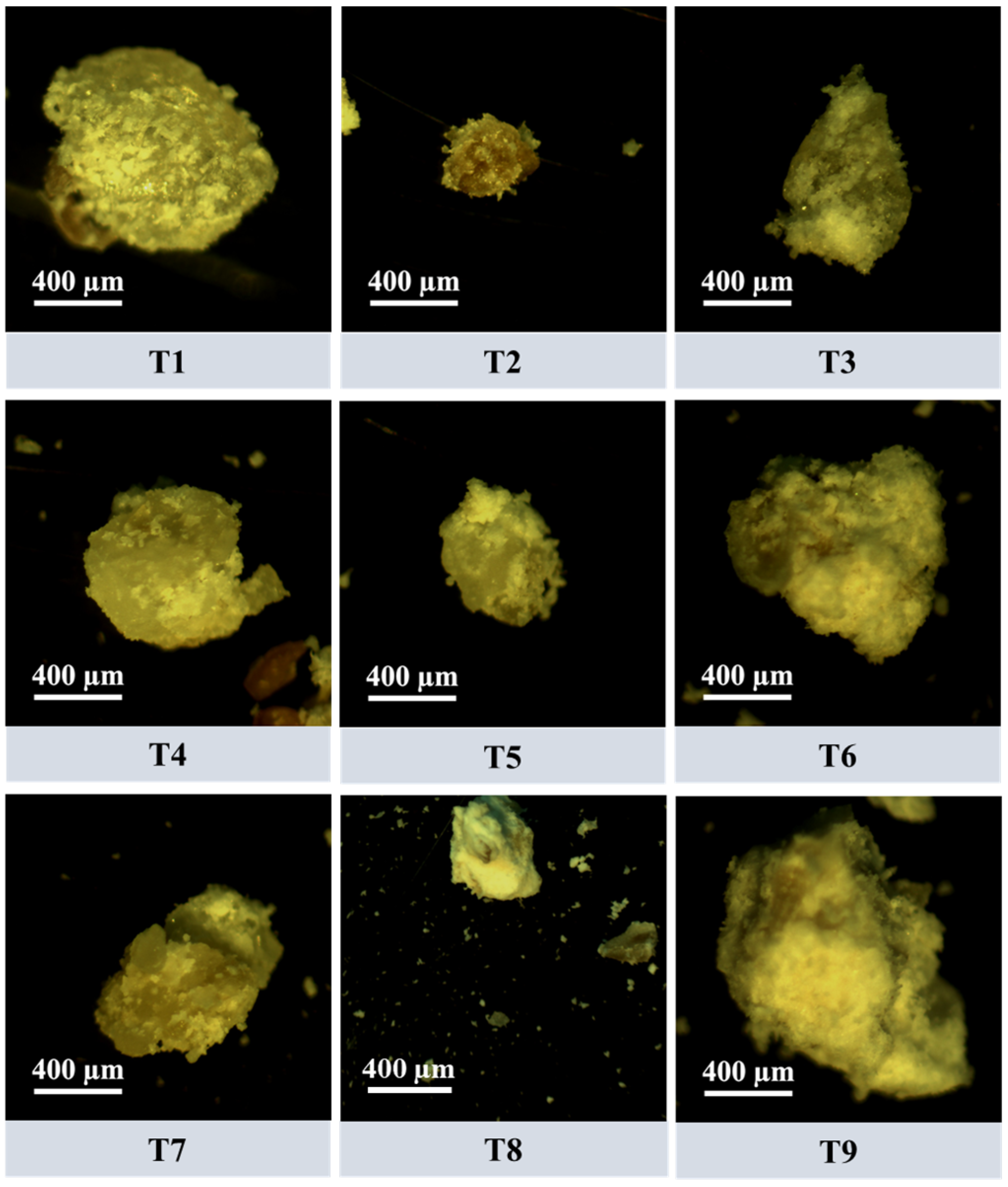 Powders 03 00013 g007