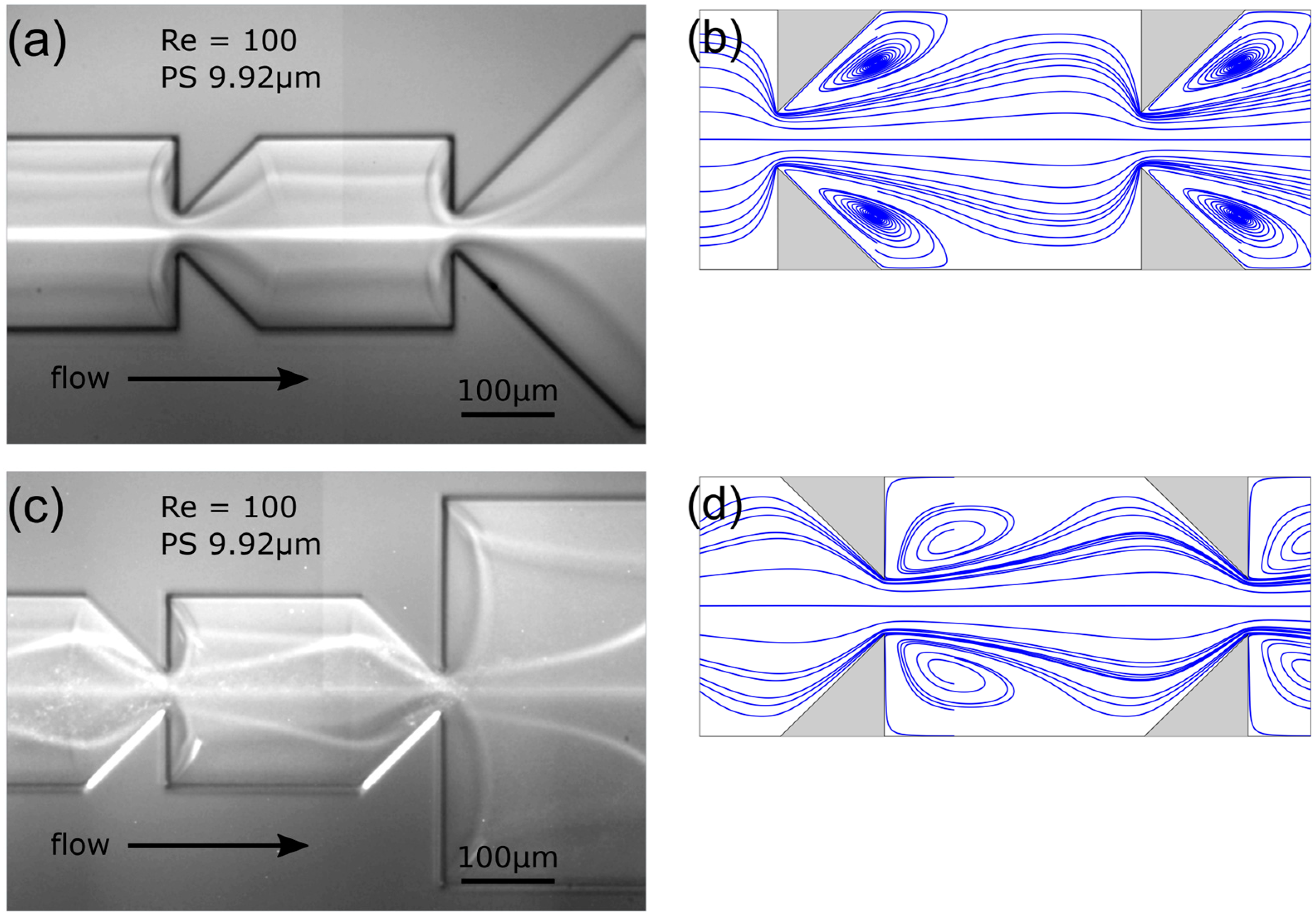 Powders 03 00018 g012
