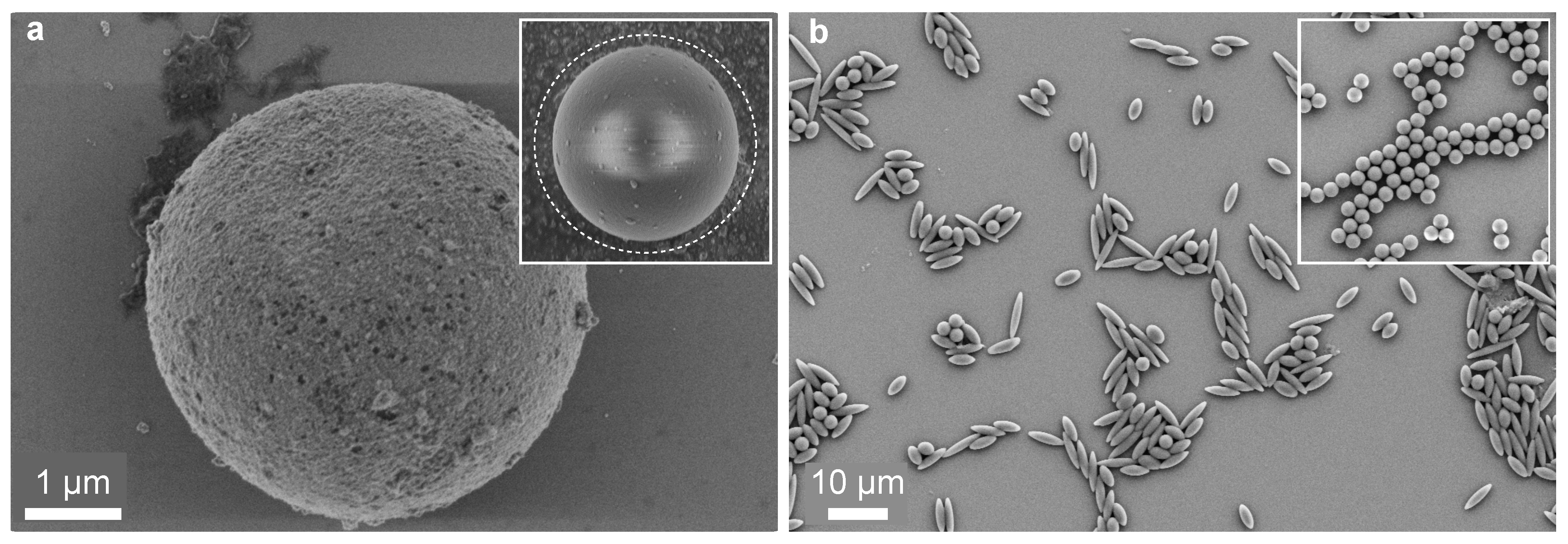 Powders 03 00030 g002