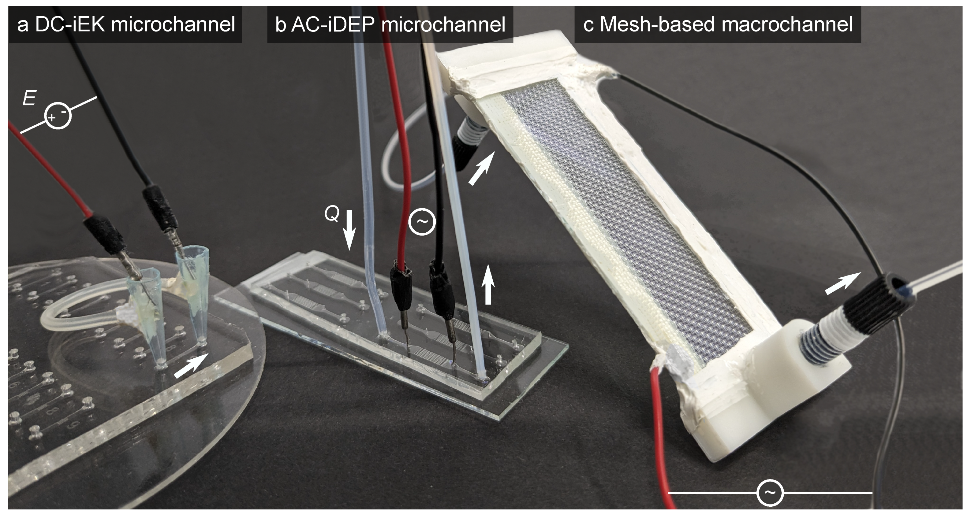 Powders 03 00030 g003
