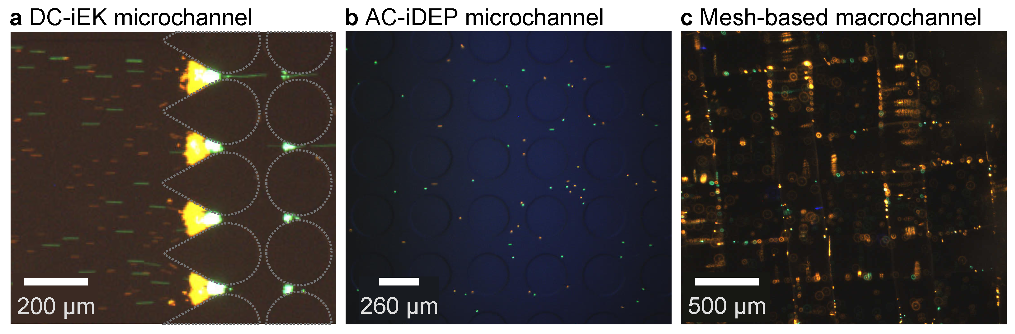 Powders 03 00030 g0a3