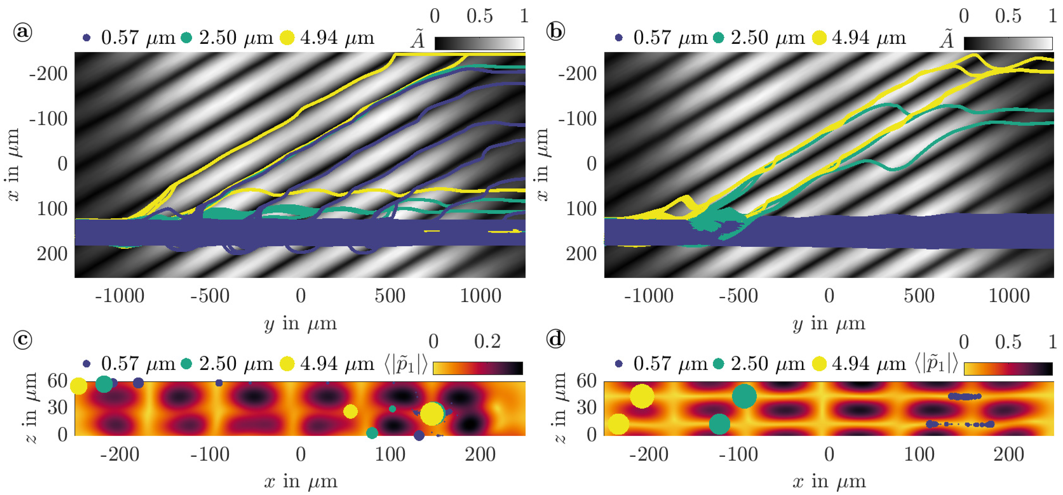 Powders 04 00002 g012