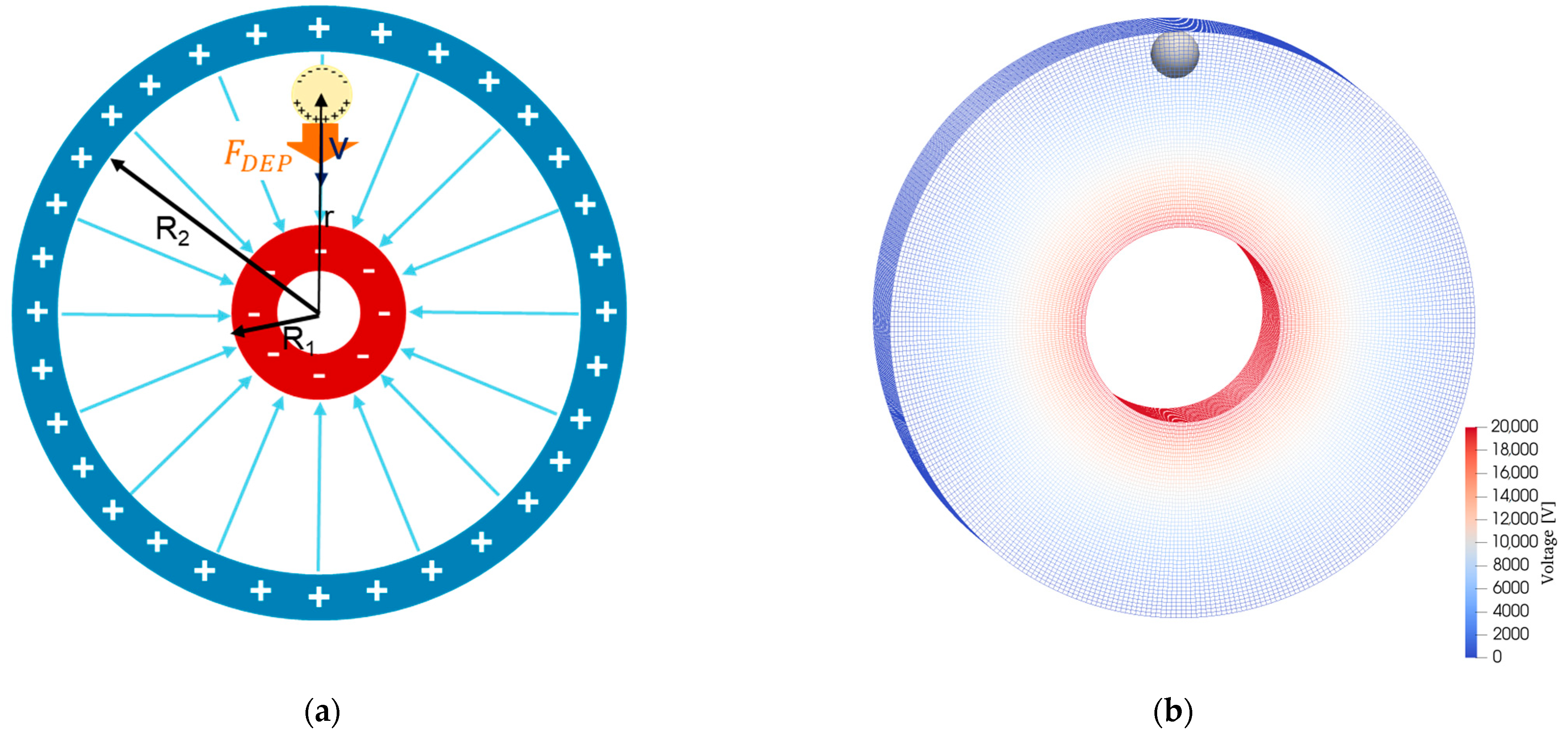 Powders 04 00013 g010