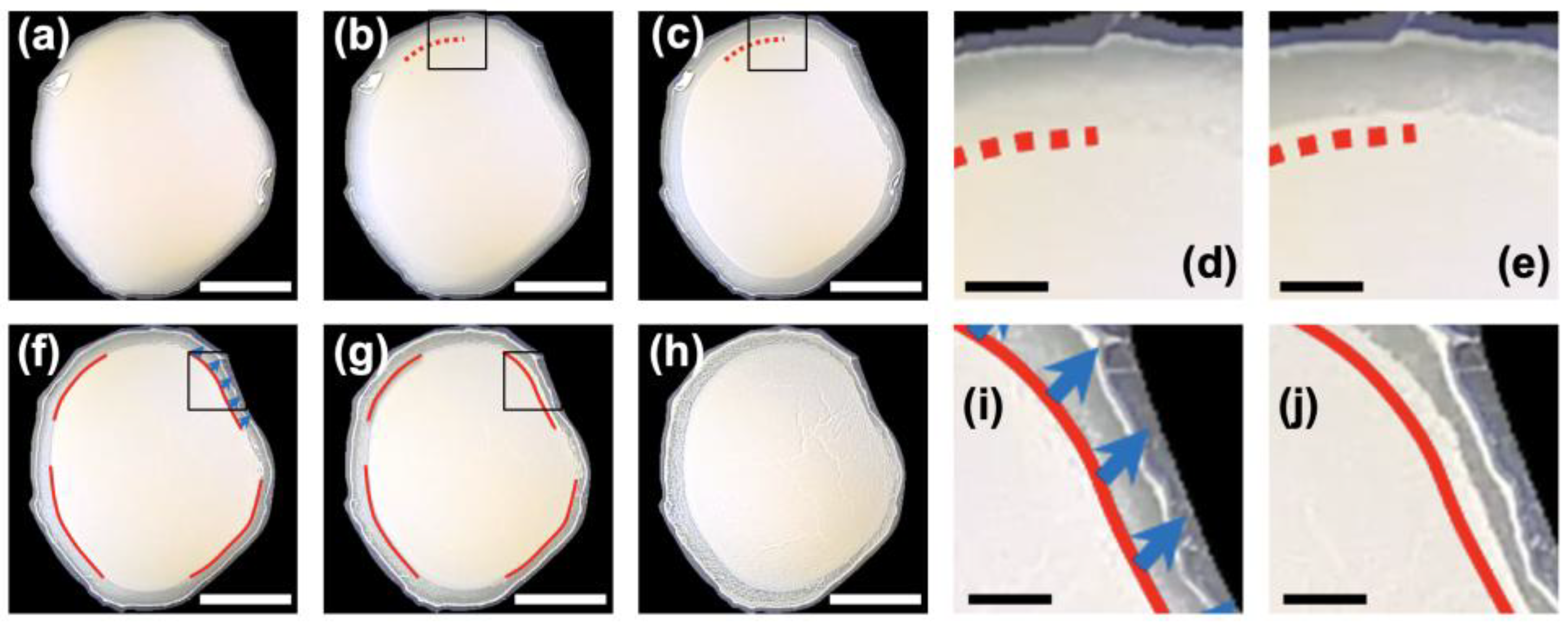 Powders 04 00017 g001