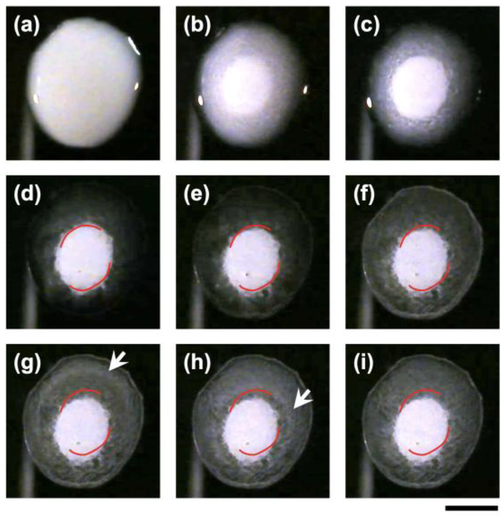 Powders 04 00017 g002