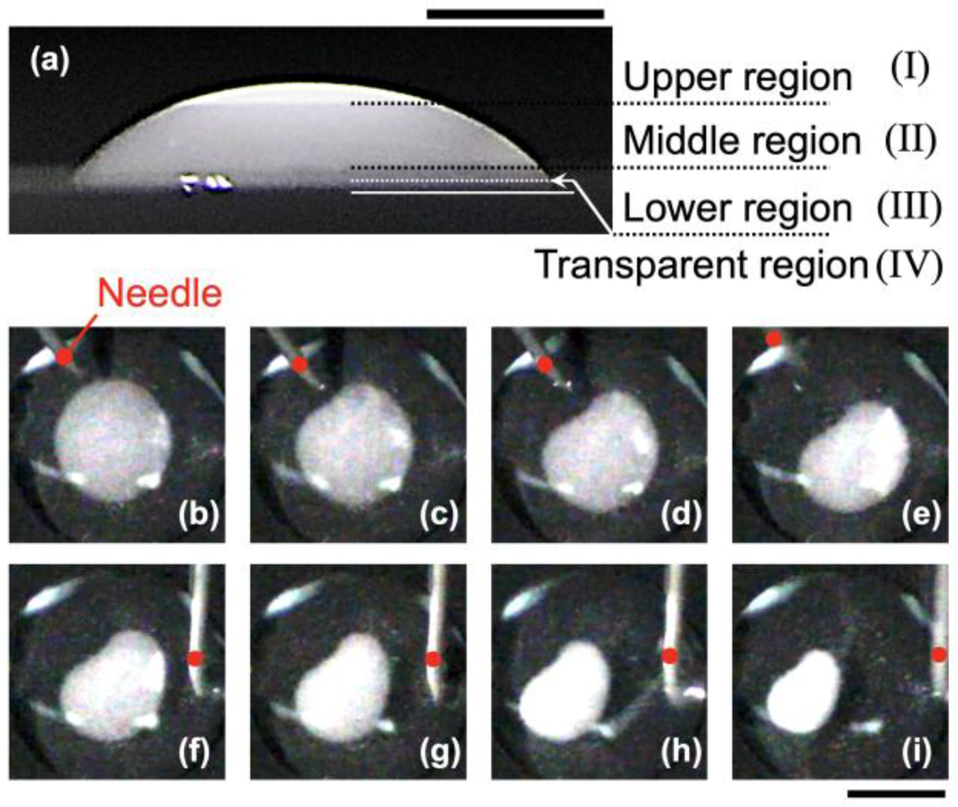 Powders 04 00017 g004