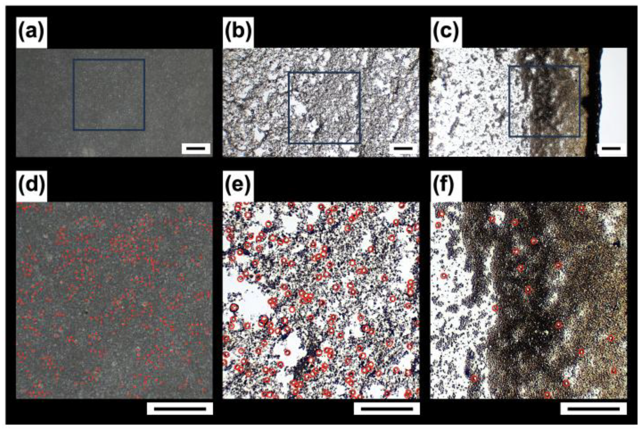 Powders 04 00017 g009