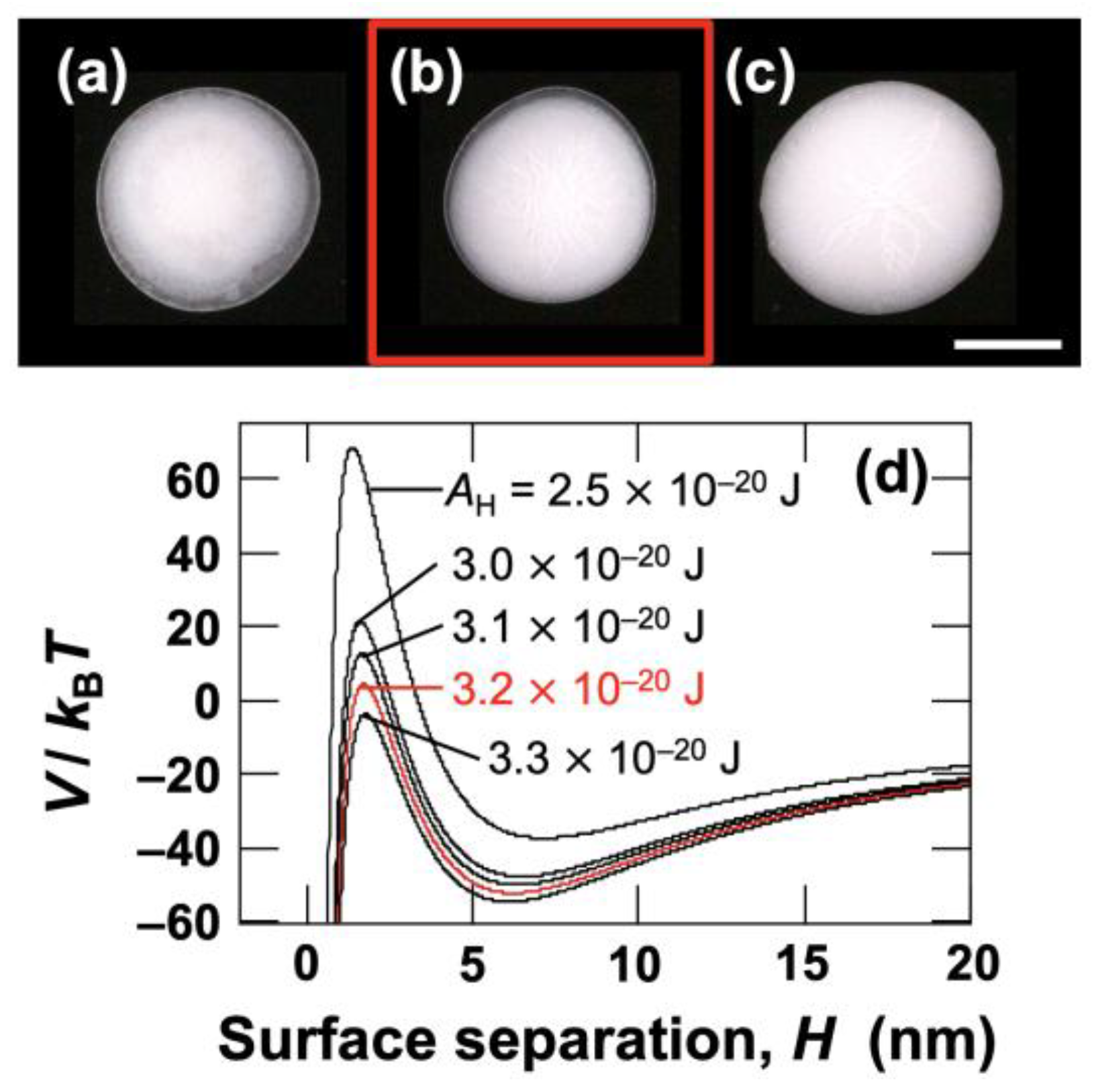 Powders 04 00017 g010