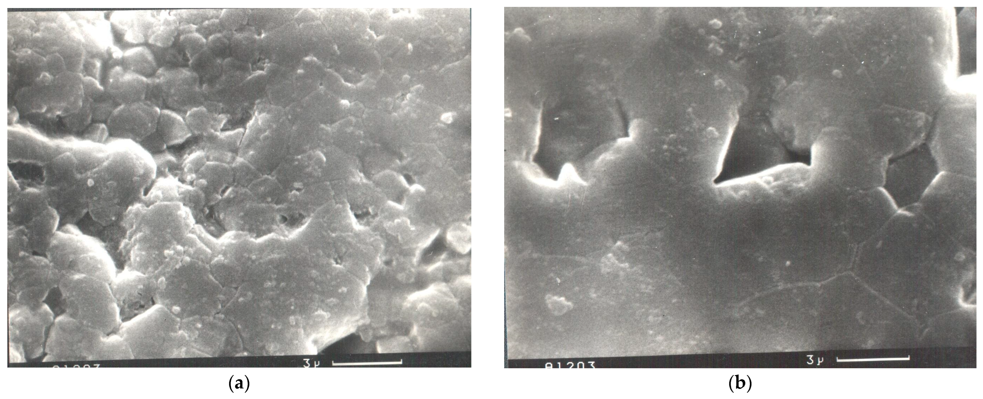 Powders 04 00018 g004