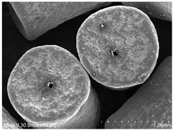 Powders 04 00021 i010