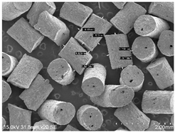 Powders 04 00021 i013