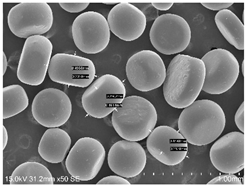 Powders 04 00021 i020