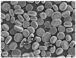 Powders 04 00021 i021