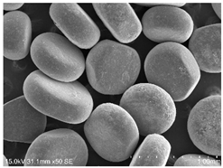 Powders 04 00021 i022