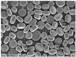 Powders 04 00021 i023