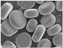 Powders 04 00021 i030