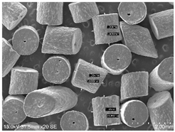 Powders 04 00021 i033